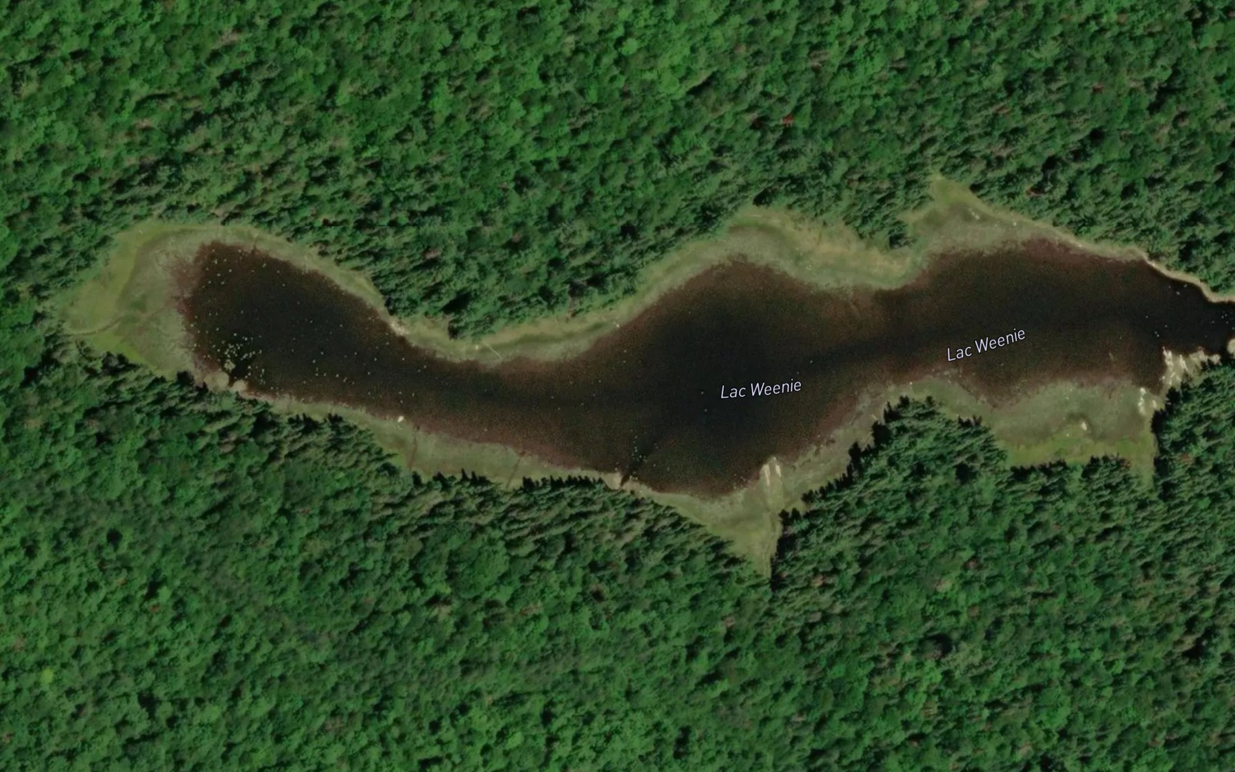Satellite map of the Lac Weenie