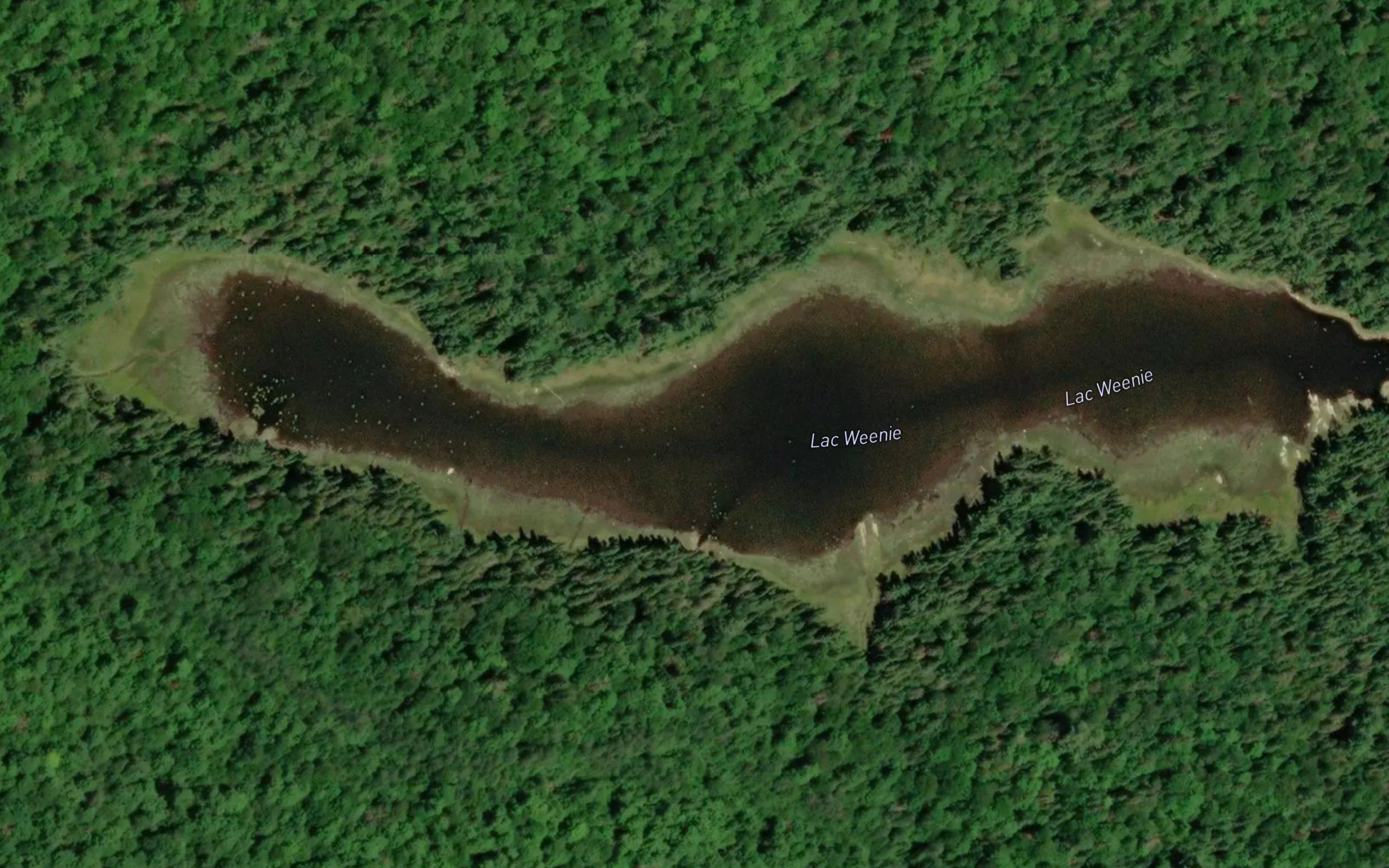 Lac Weenie