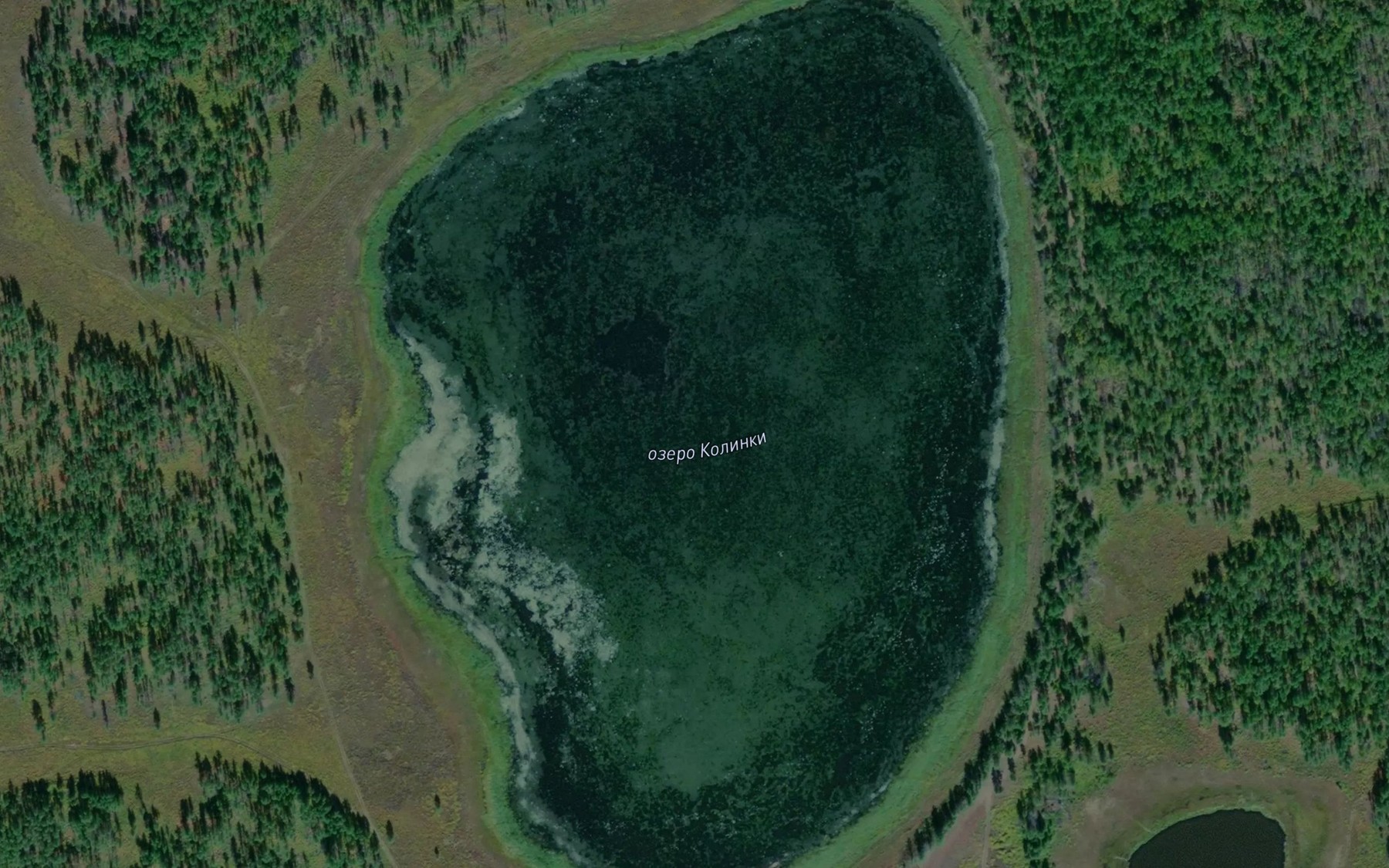 Satellite map of the Ozero Kolinki