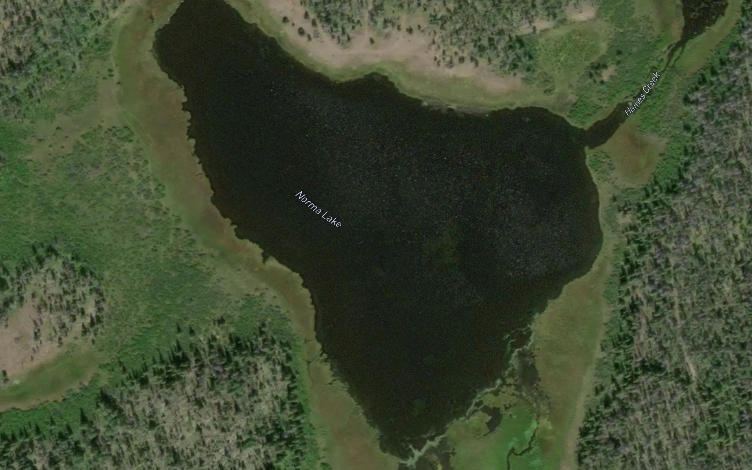Norma Lake