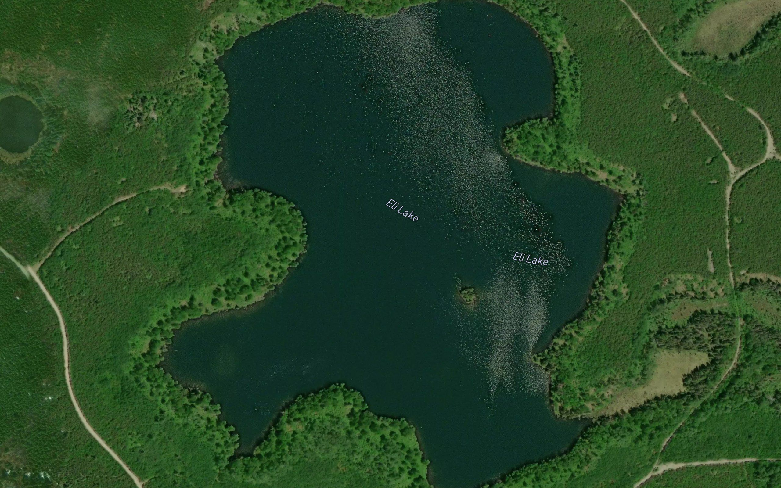 Eli Lake