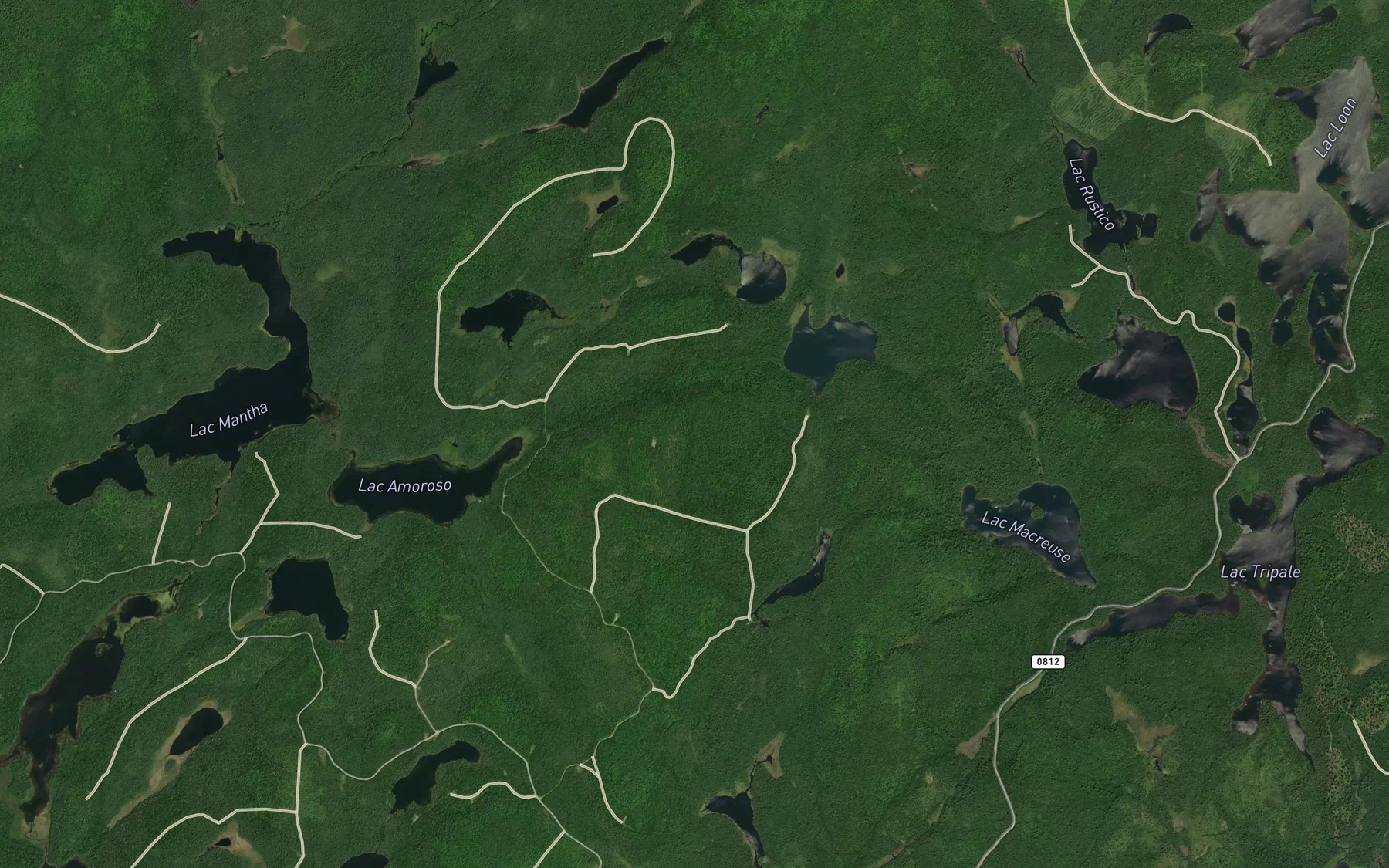 Satellite map of the Lac des Fredons