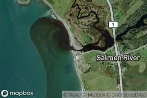Salmon River