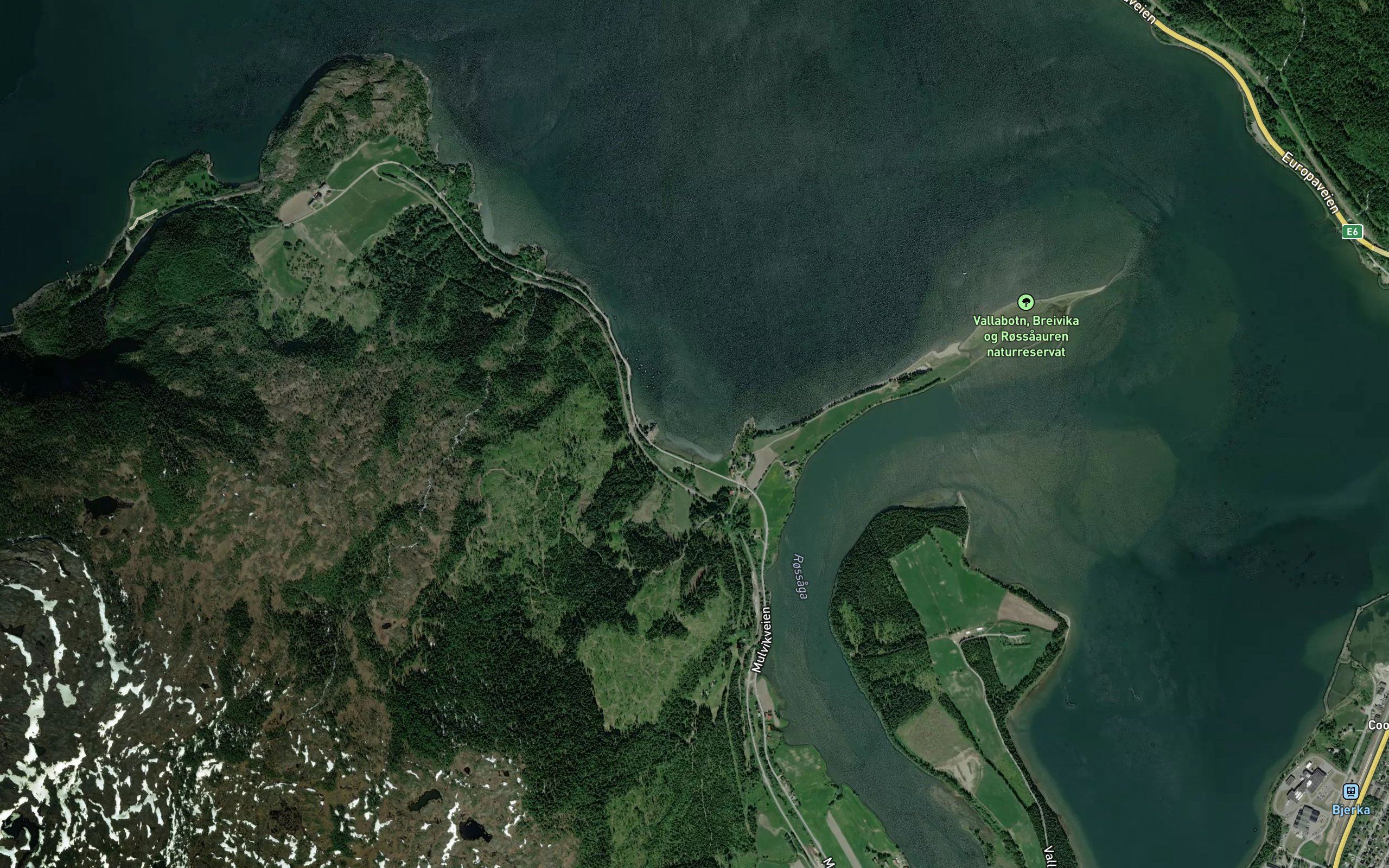 Kivika