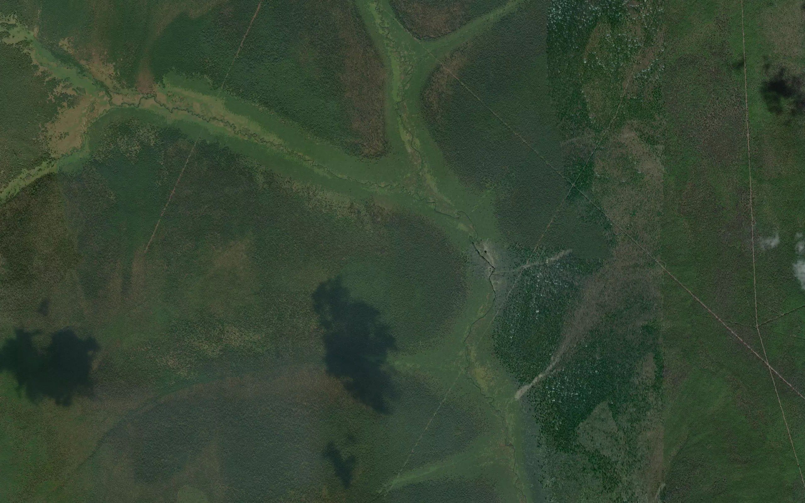 Lugovoy