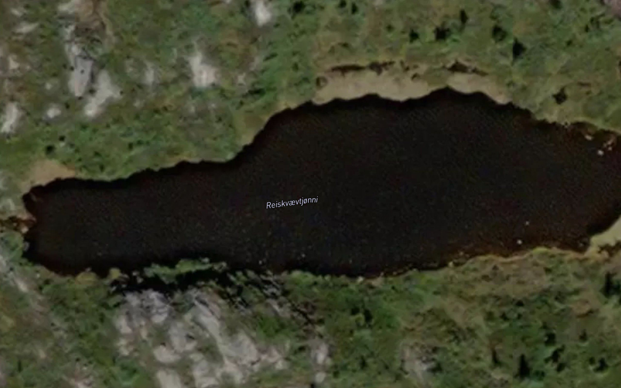 Reiskvaevtjonni