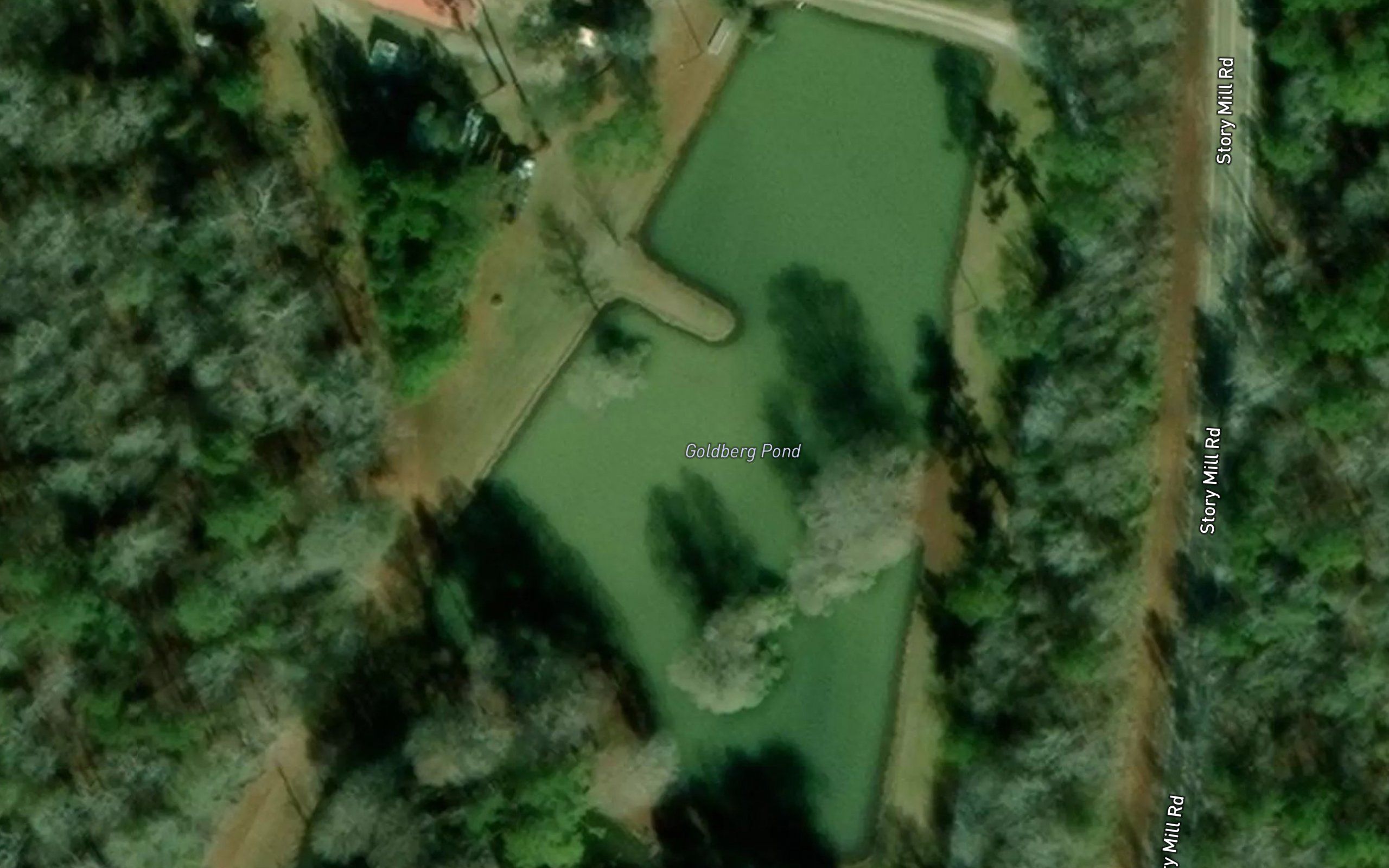 Goldberg Pond