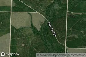 Three Hollow Creek