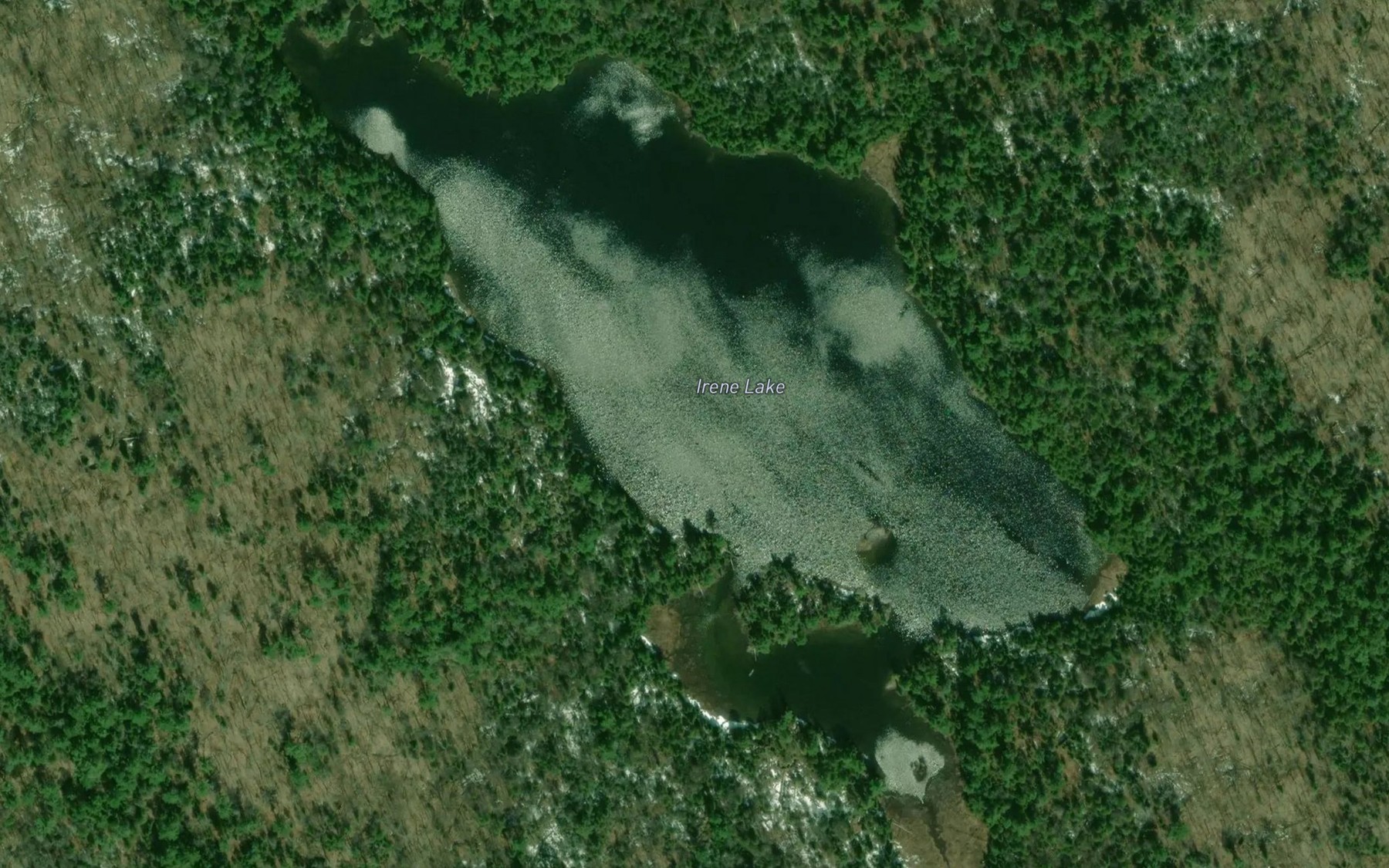 Satellite map of the Irene Lake