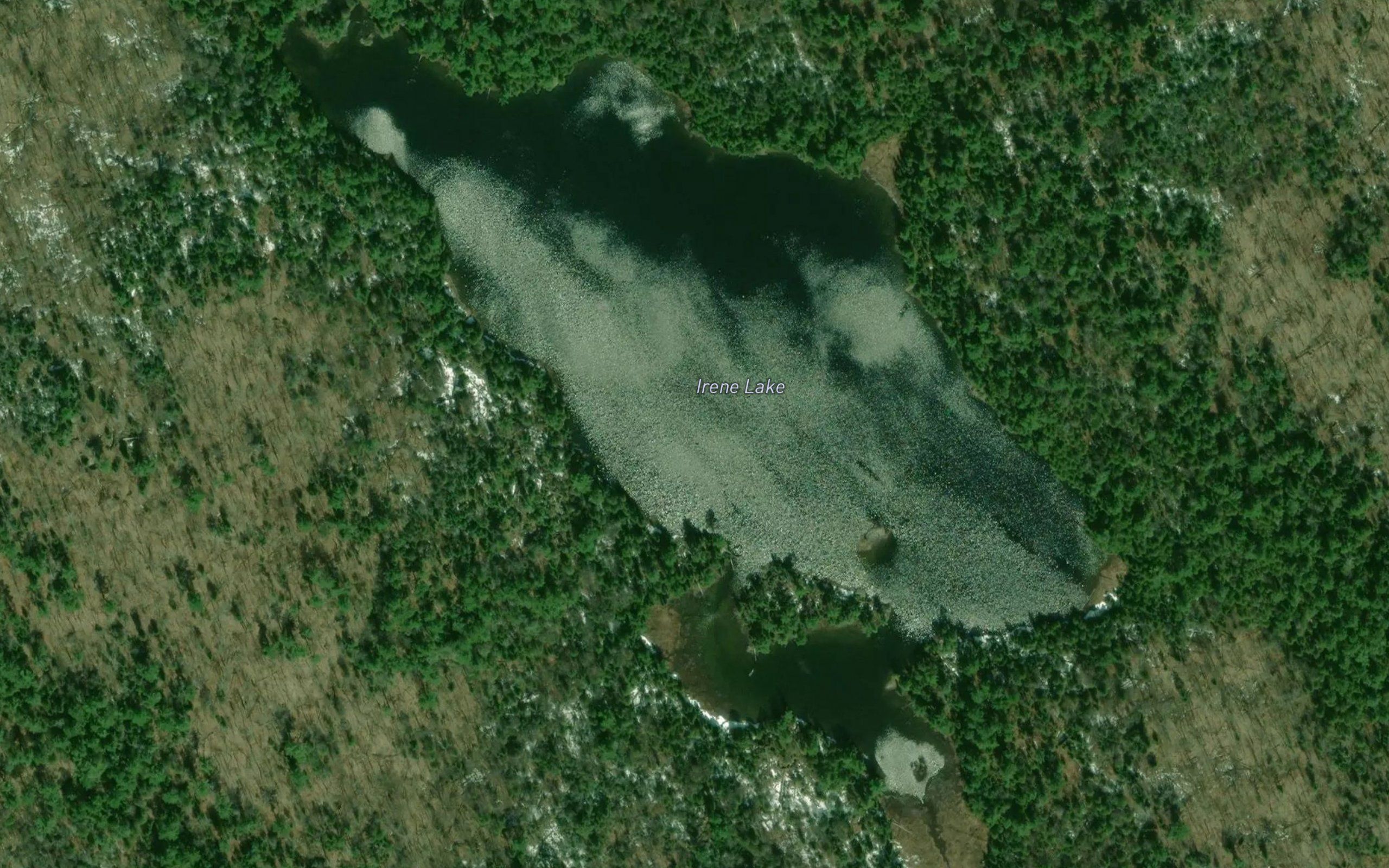 Irene Lake