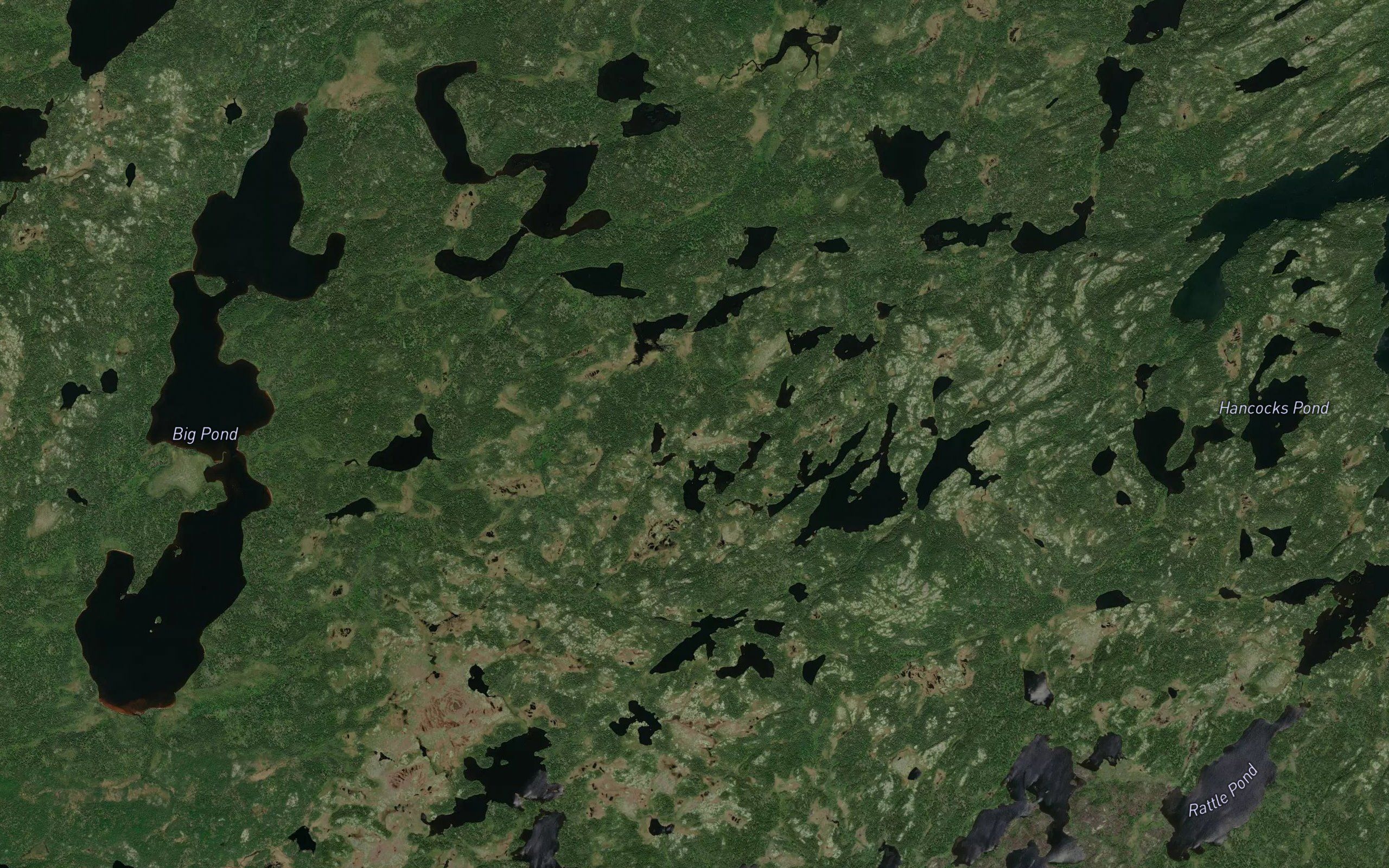 Goose Ponds