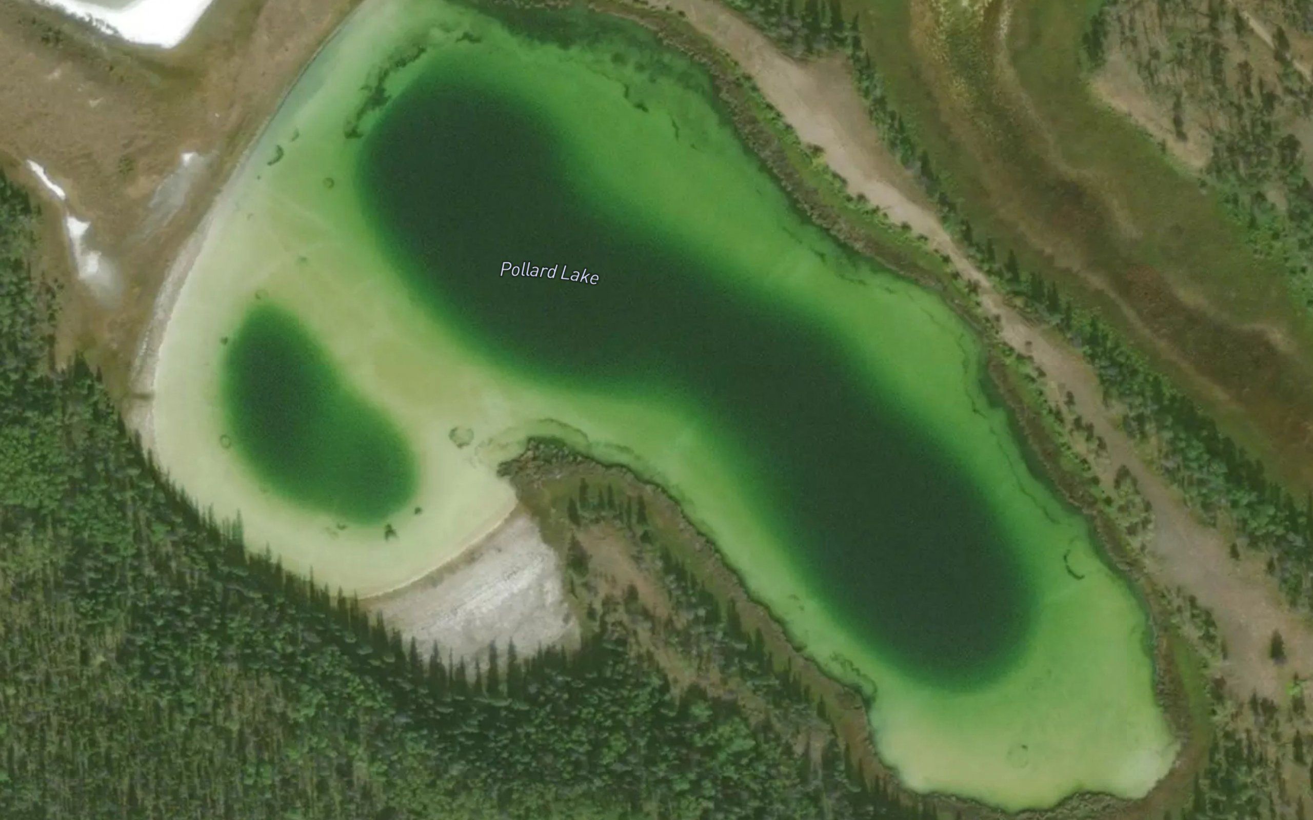Pollard Lake