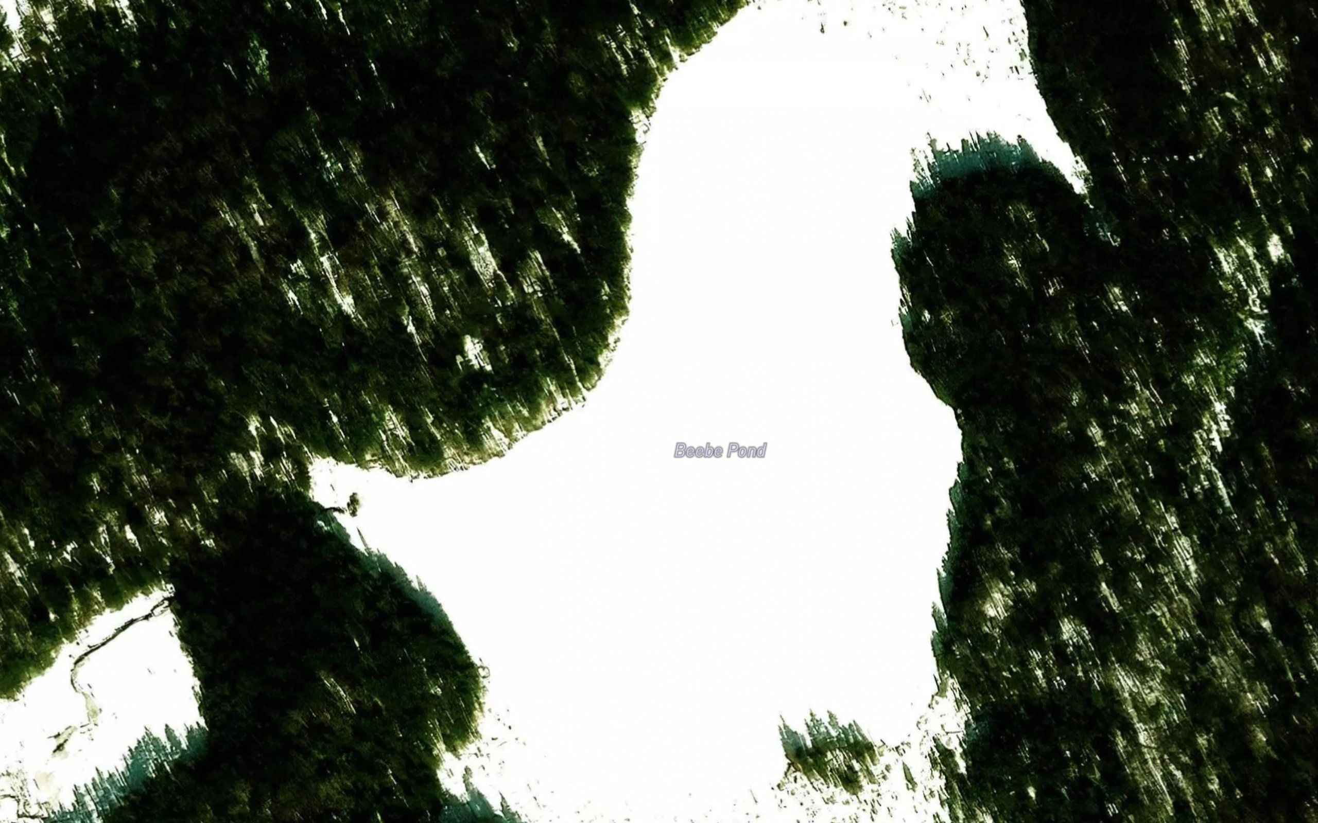 Beebe Pond