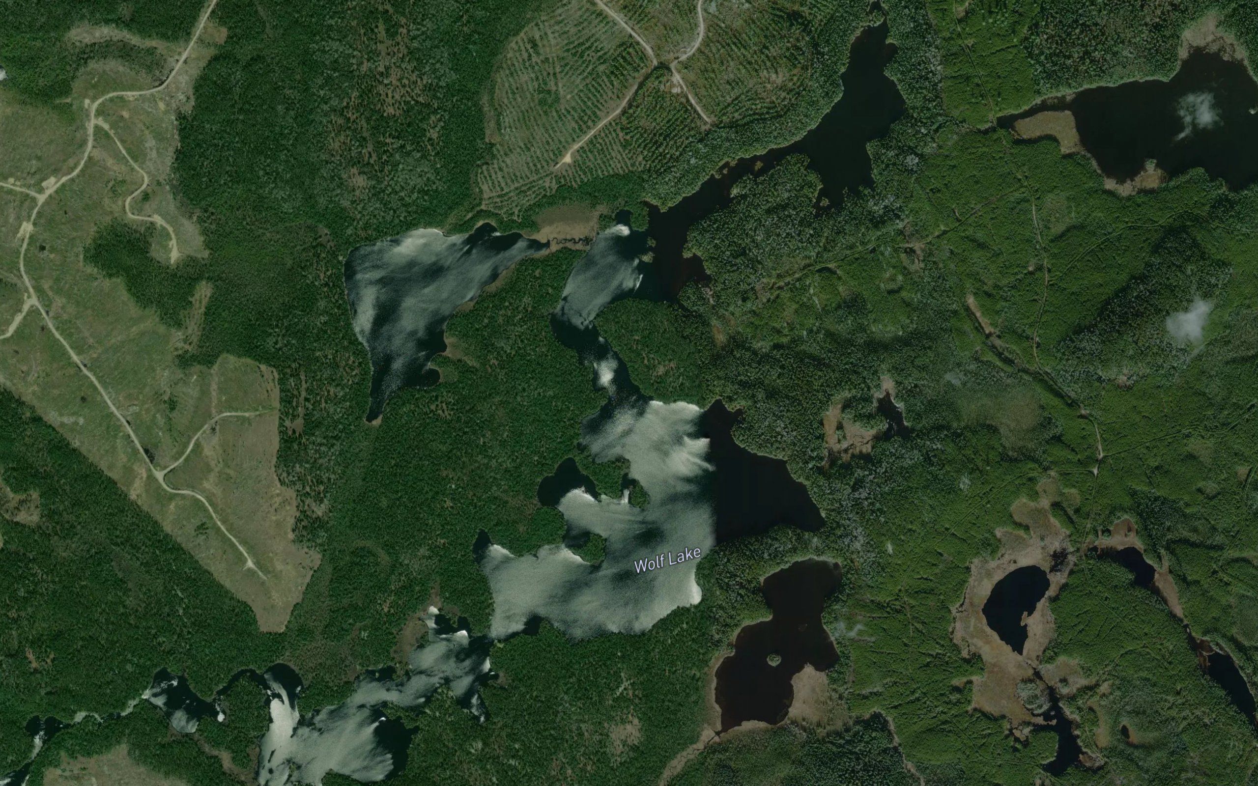 Wolf Lake