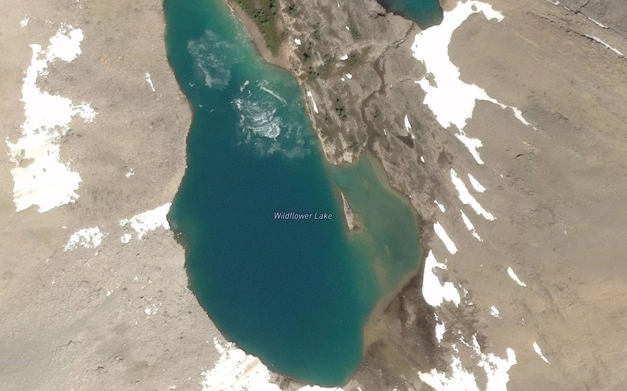 Wildflower Lake