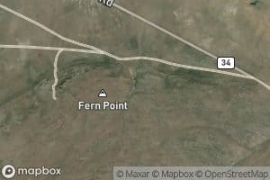 Fern Point Spring