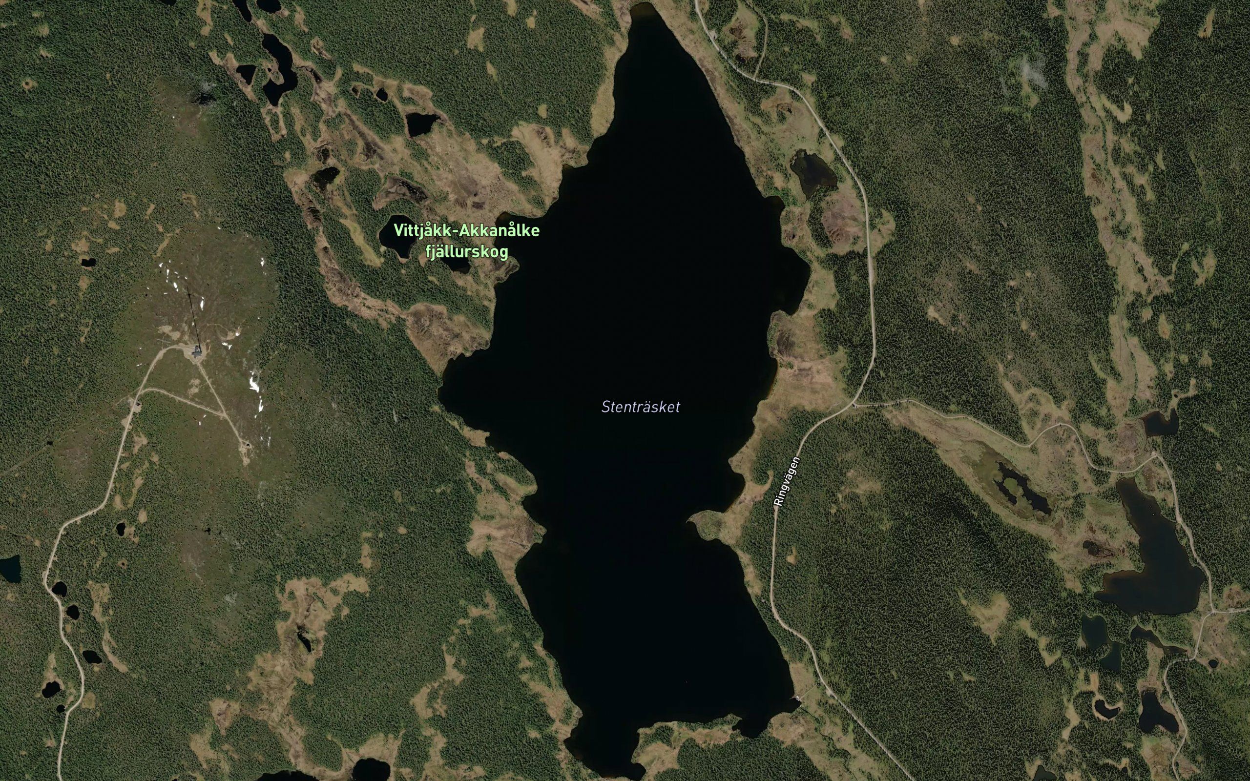 Stentrasket
