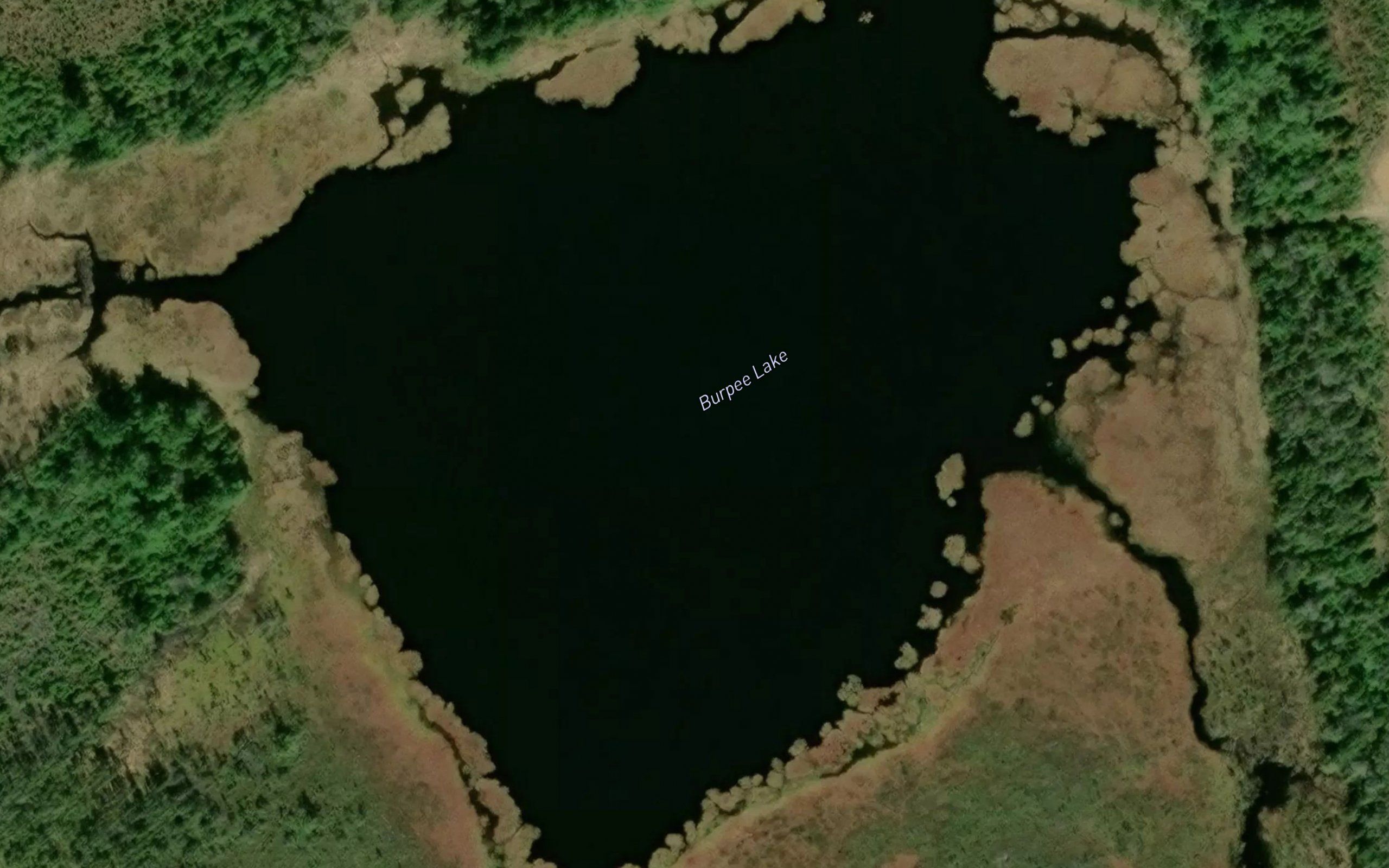 Burpee Lake