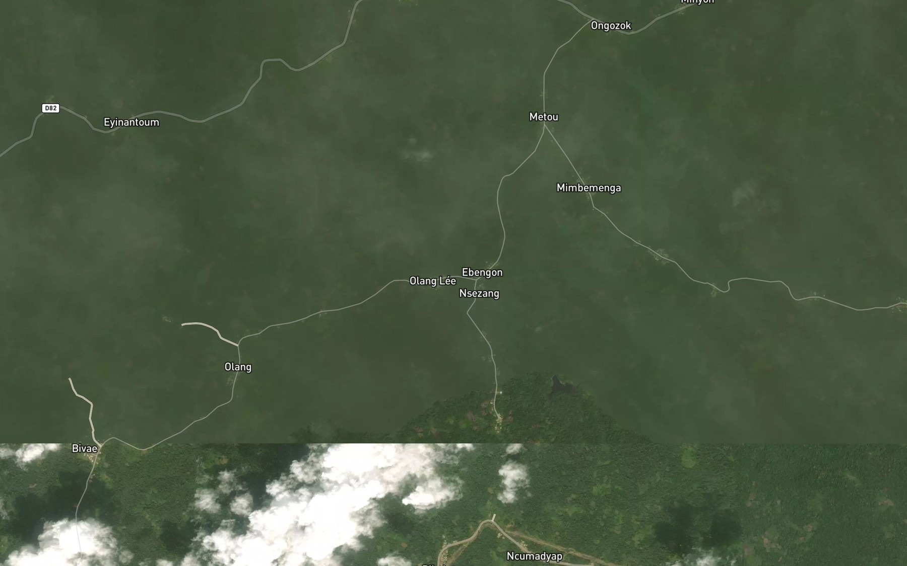 Satellite map of the Debem
