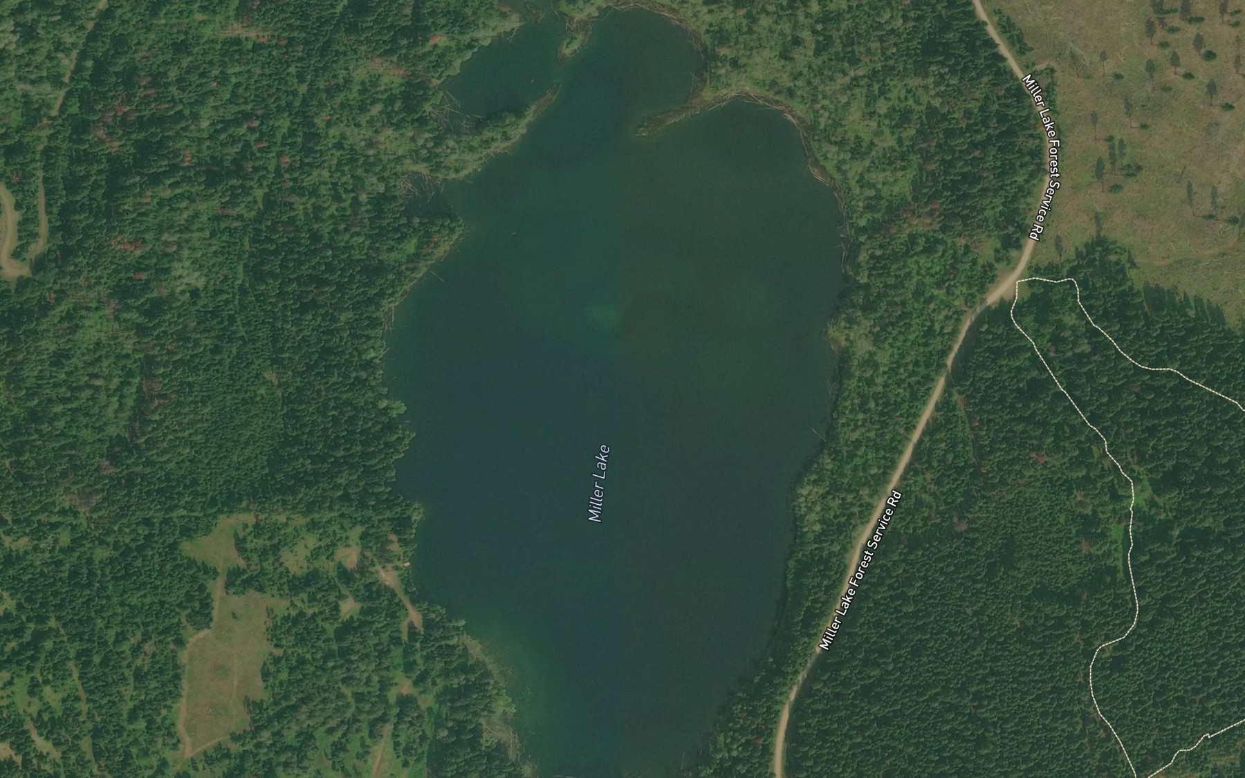 Satellite map of the Miller Lake