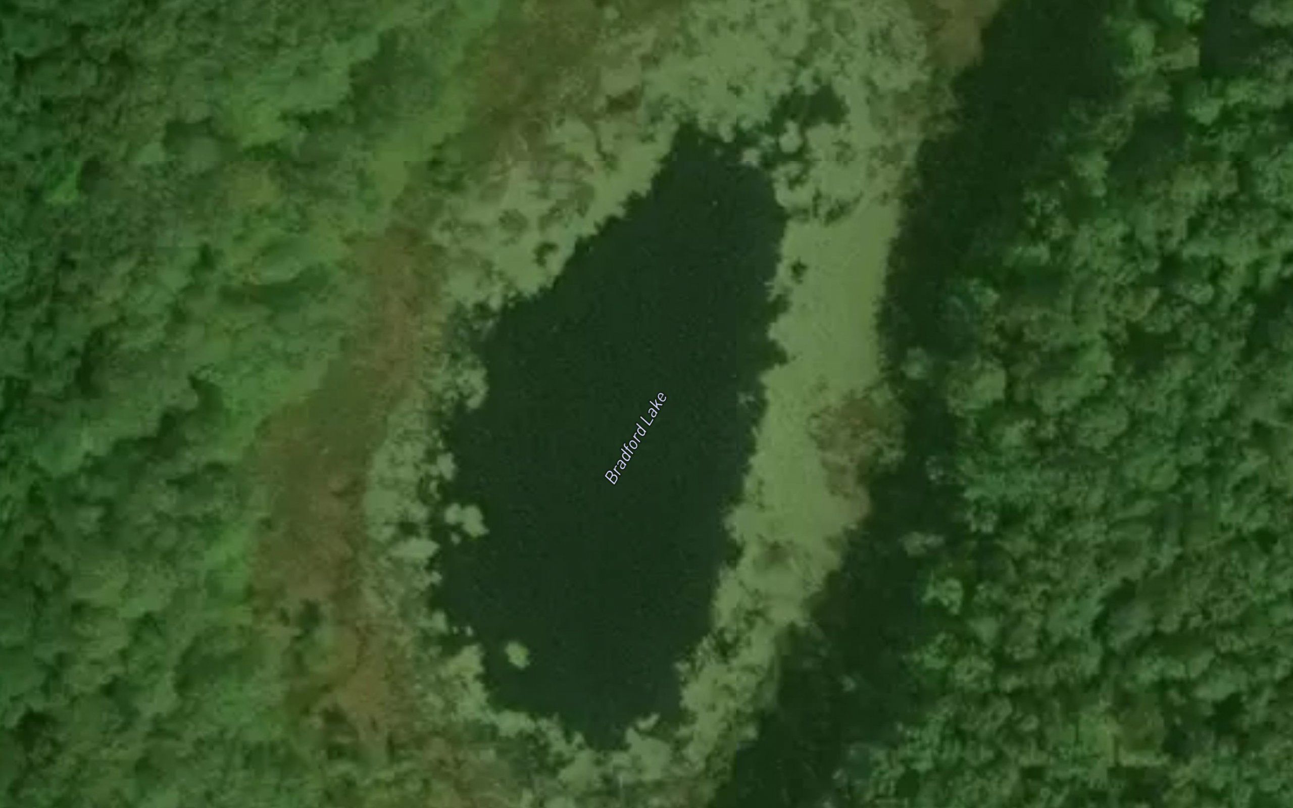 Bradford Lake