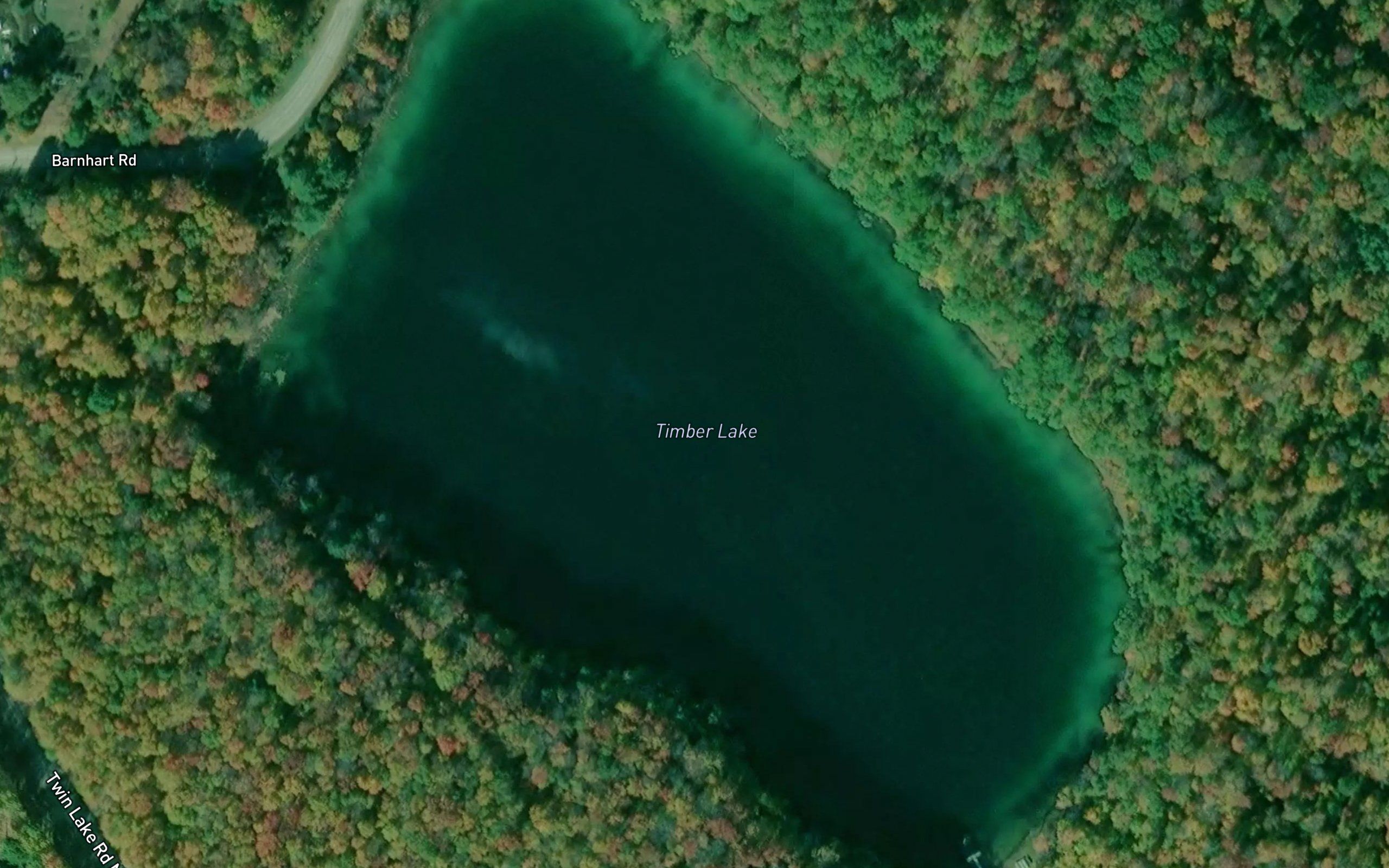 Timber Lake
