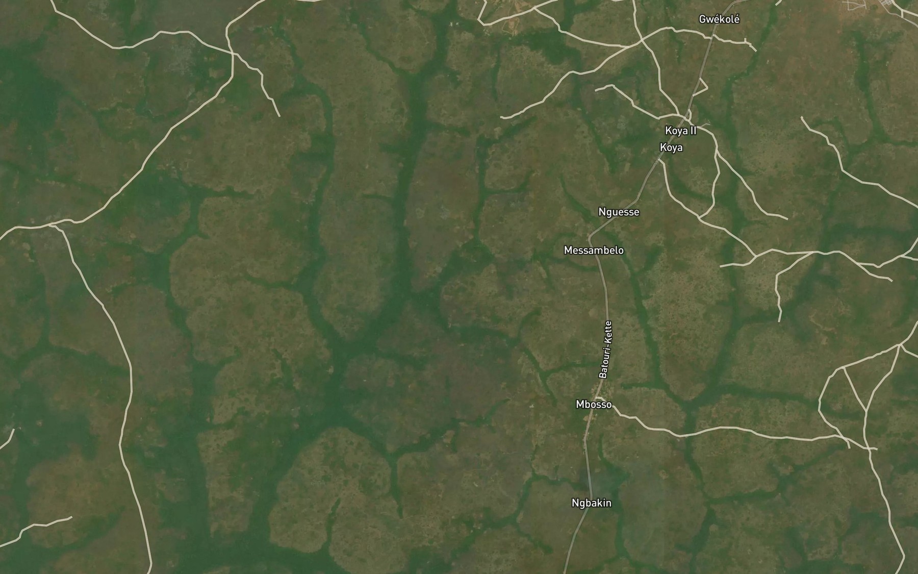 Satellite map of the Nadise