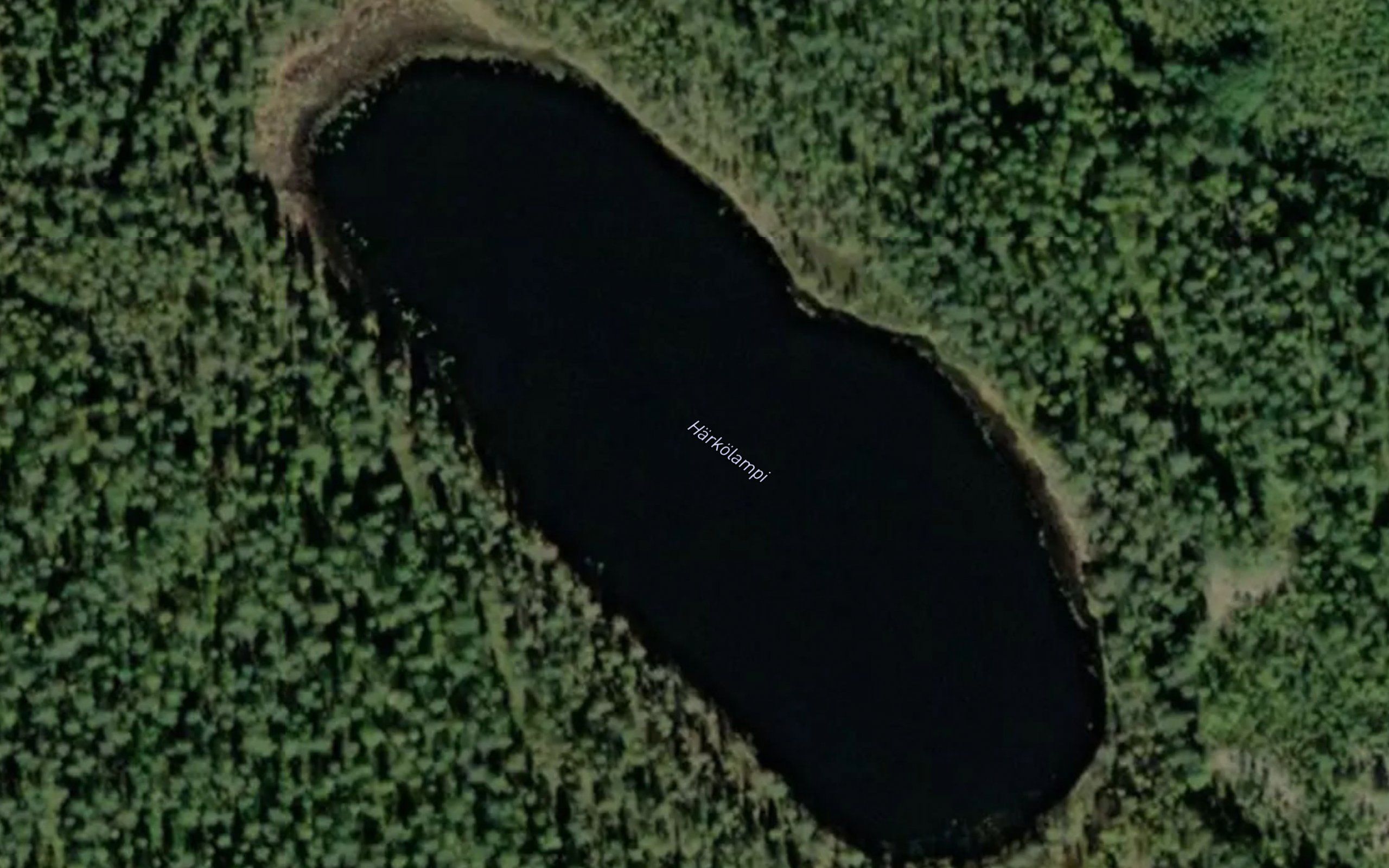 Harkolampi