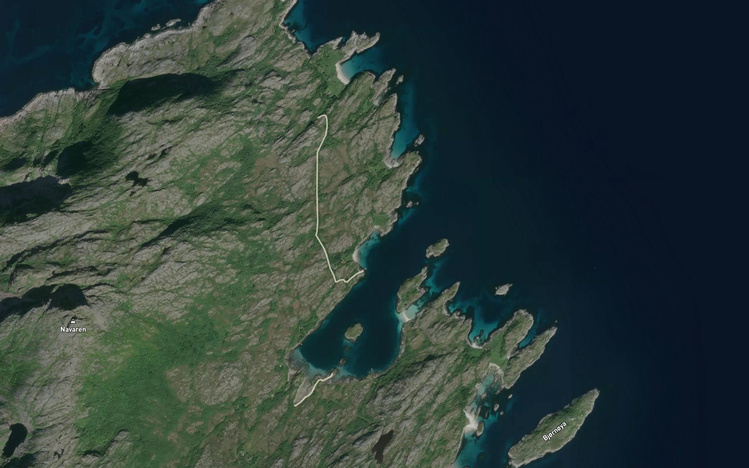 Gronnvika