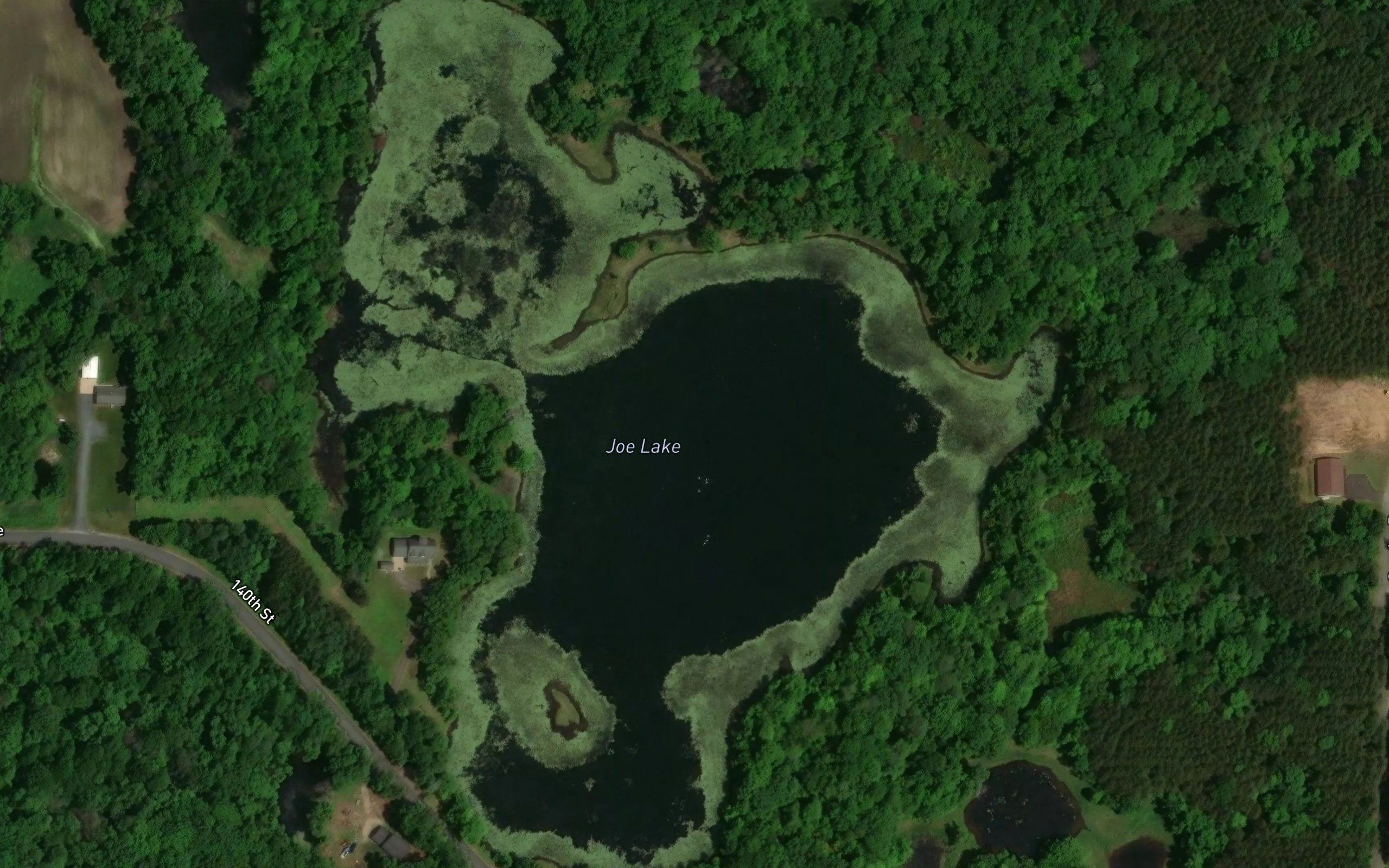 Joe Lake