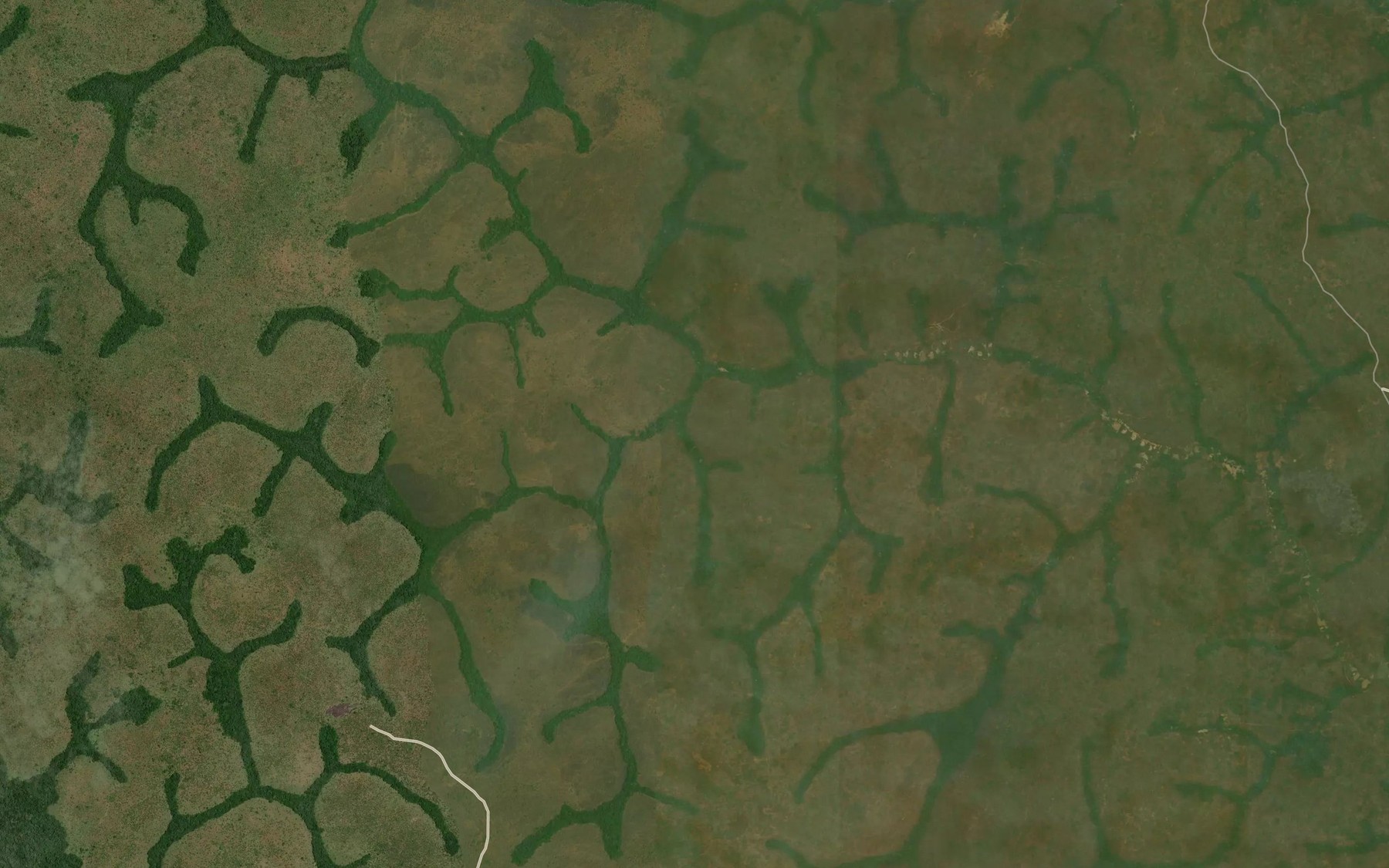 Satellite map of the Boli