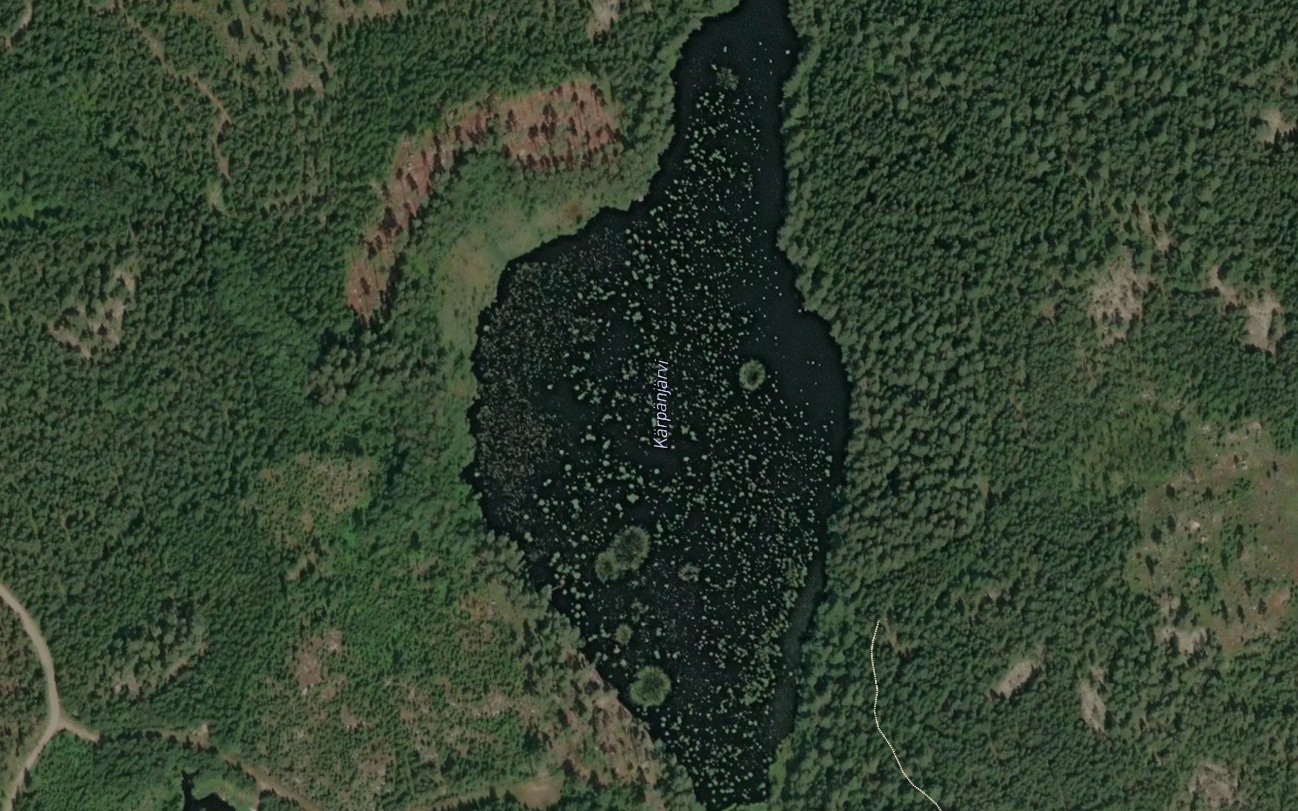 Karptrasket
