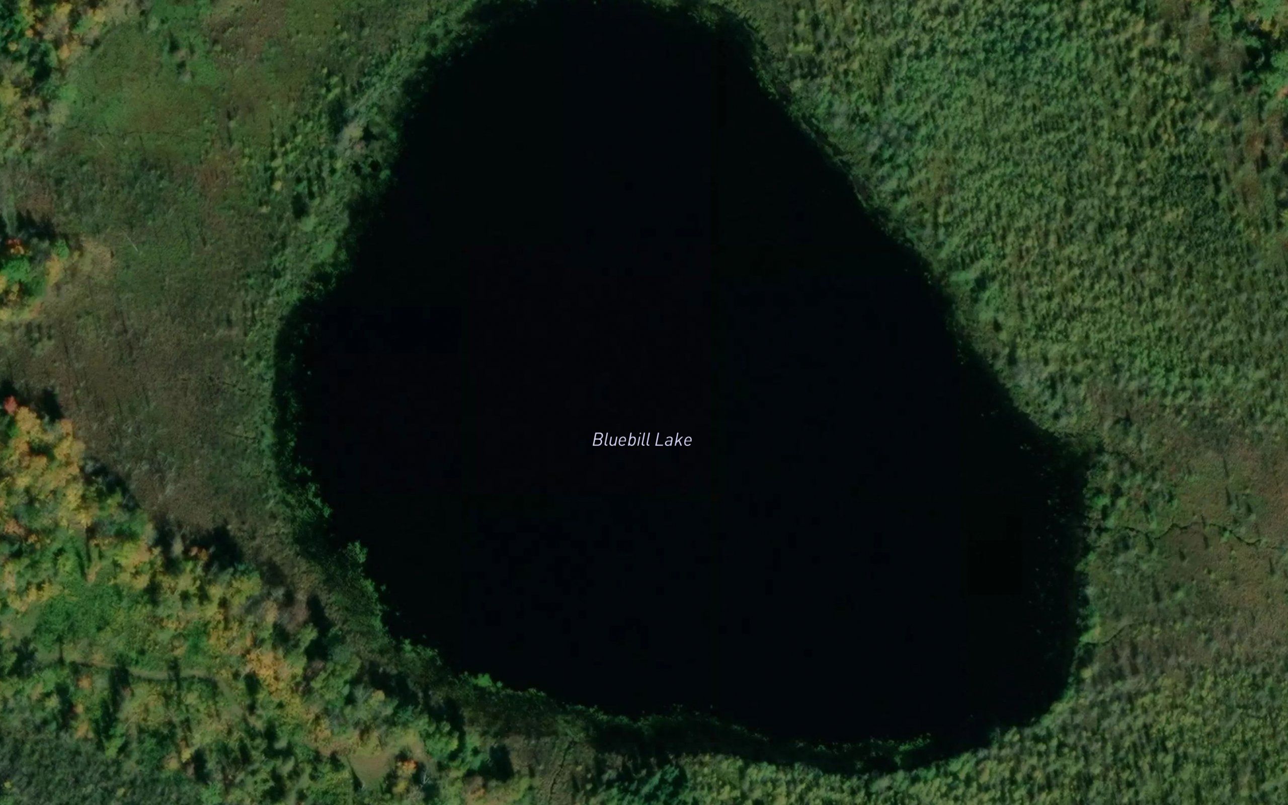 Bluebill Lake