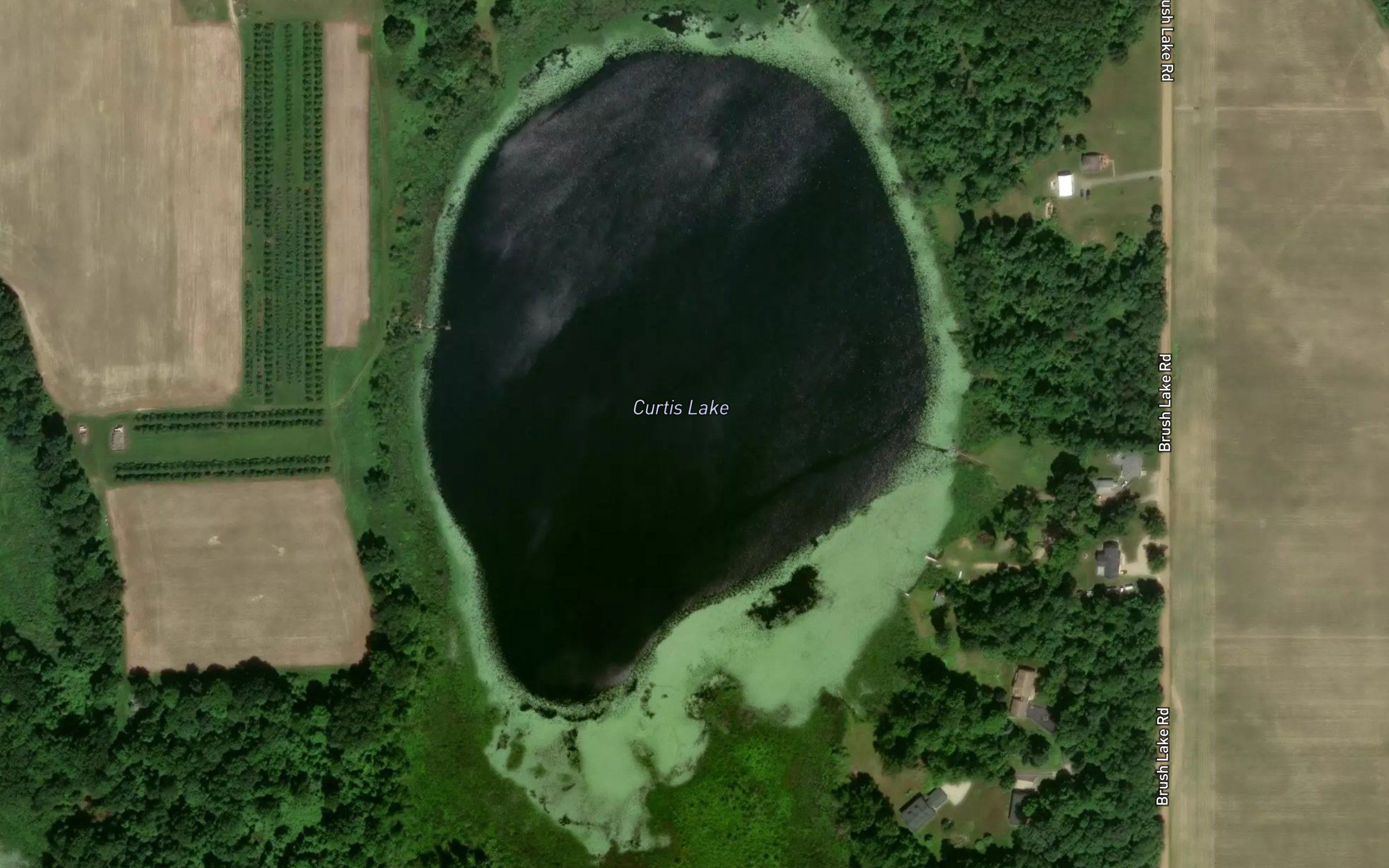 Curtis Lake