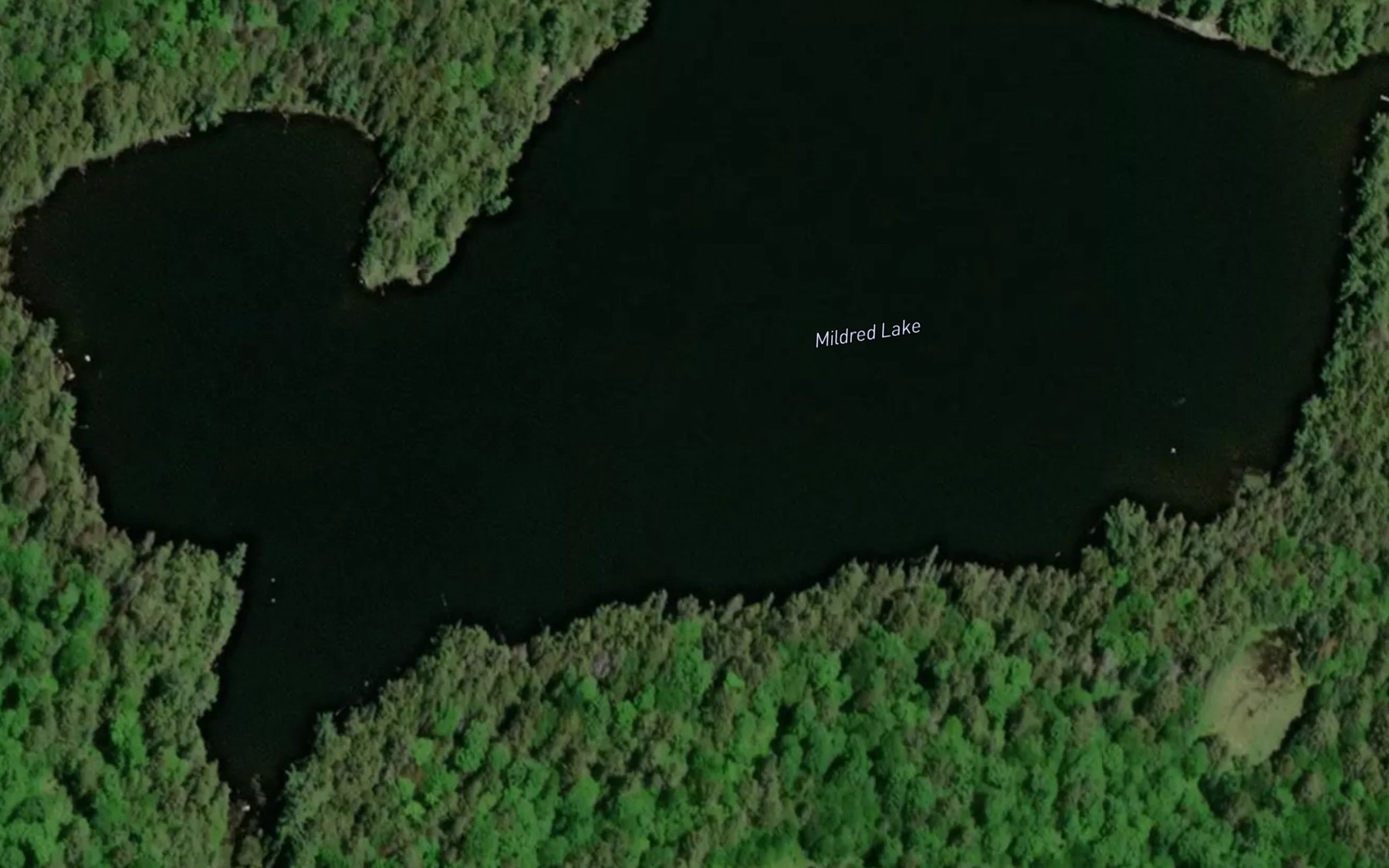 Satellite map of the Mildred Lake
