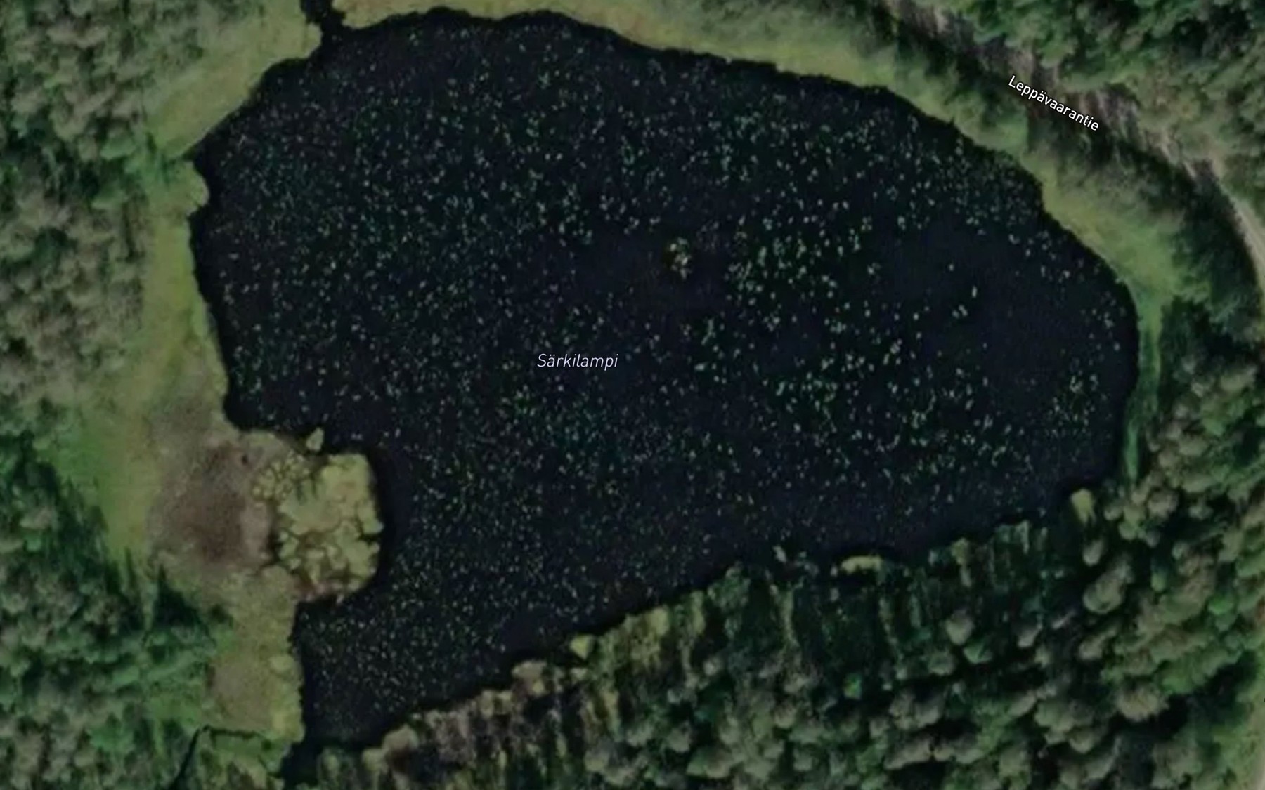 Satellite map of the Sarkilampi