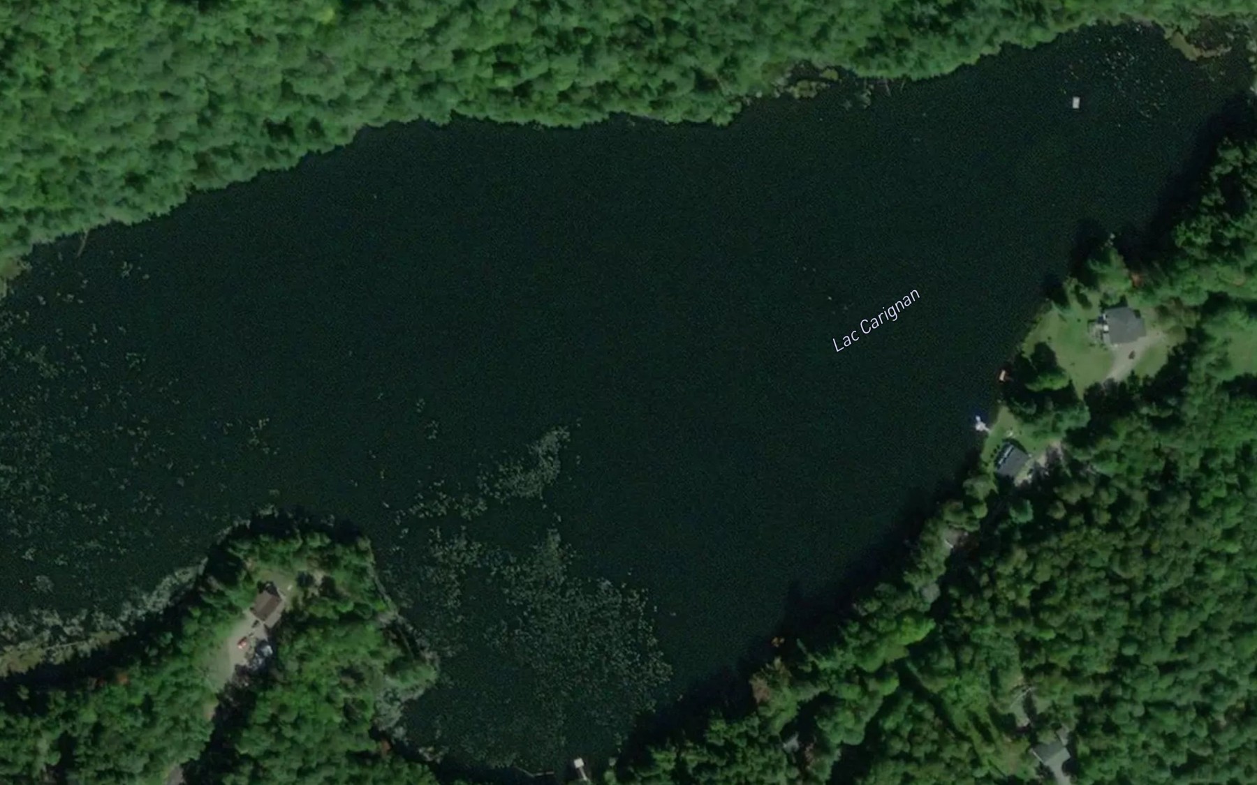 Satellite map of the Lac Carignan