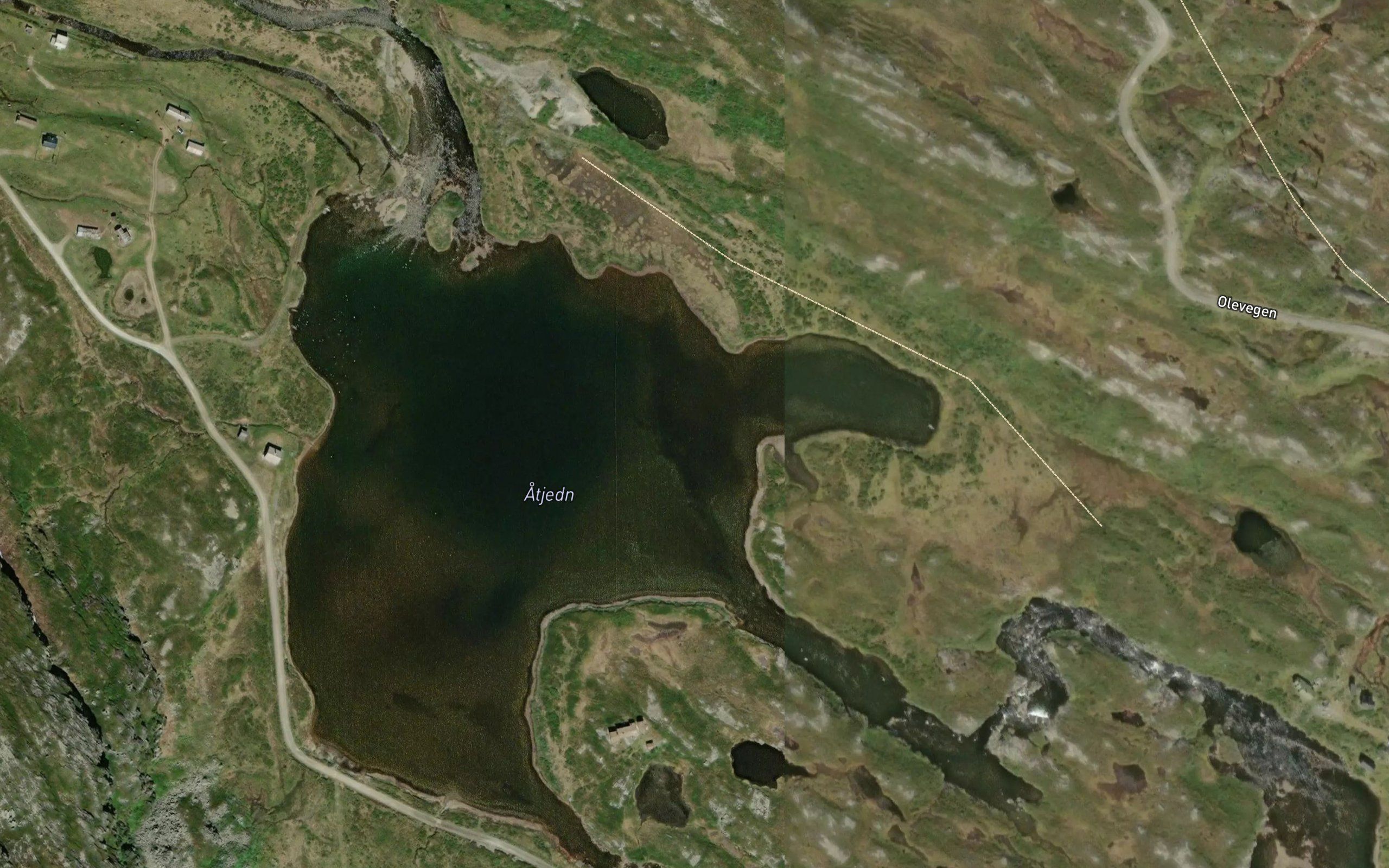 Atjednet