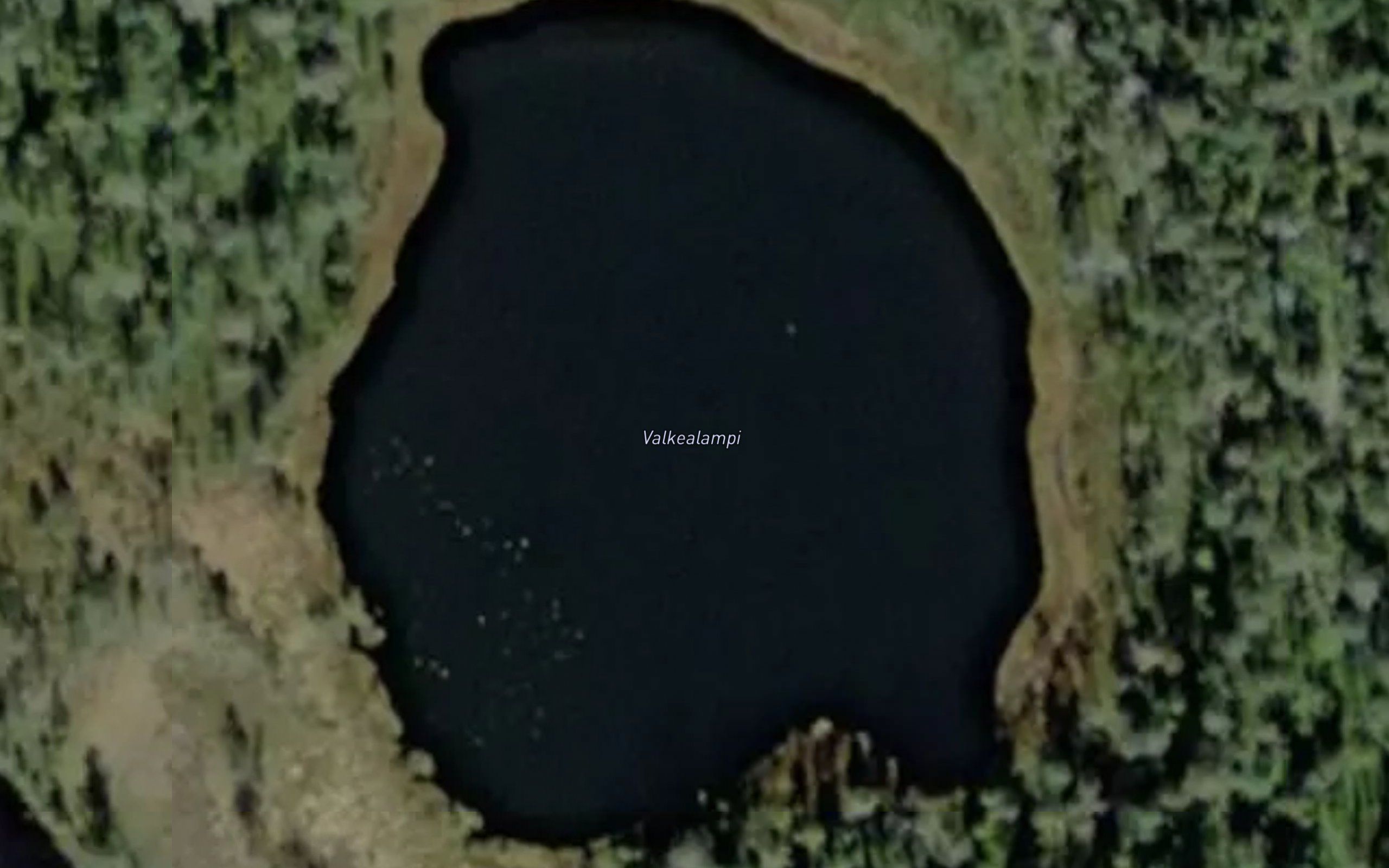 Valkealampi