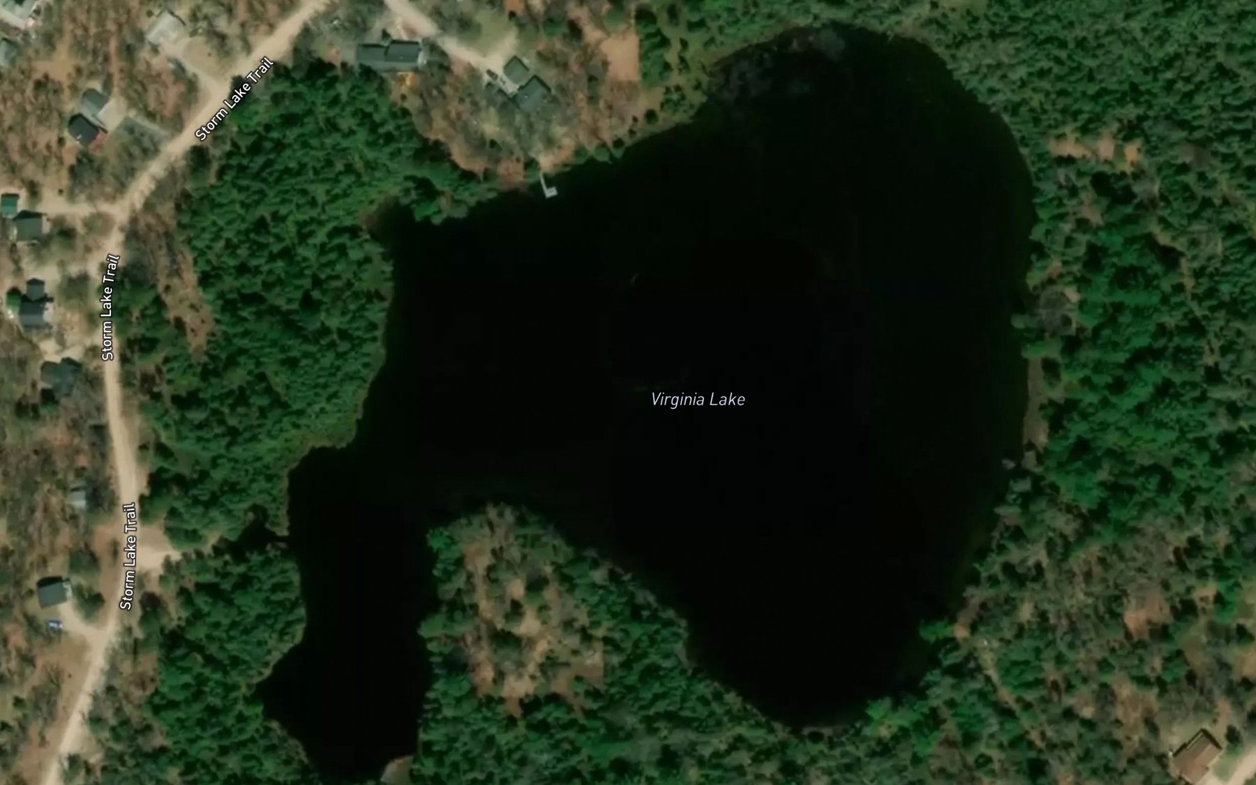 Satellite map of the Virginia Lake