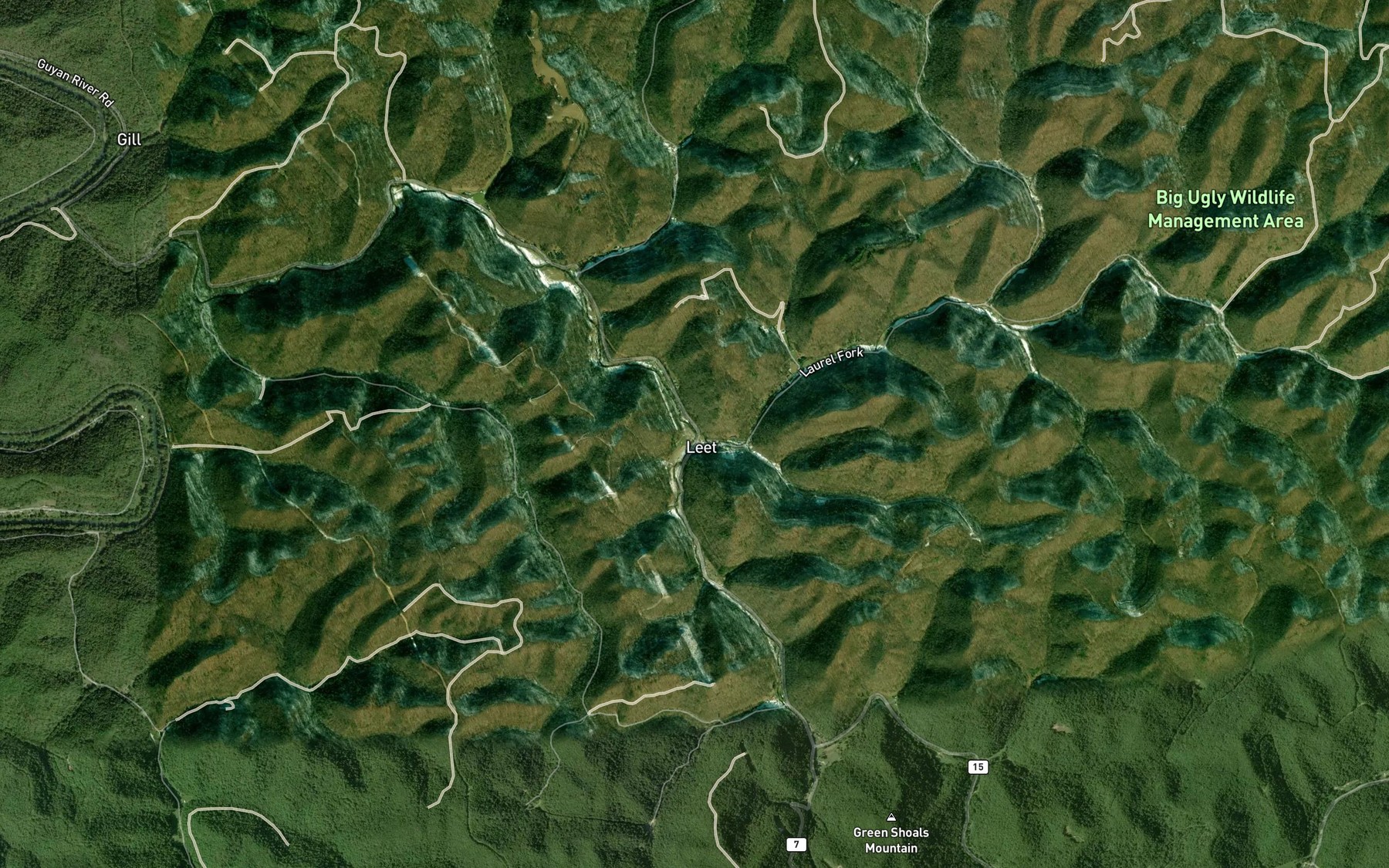 Satellite map of the Laurel Creek