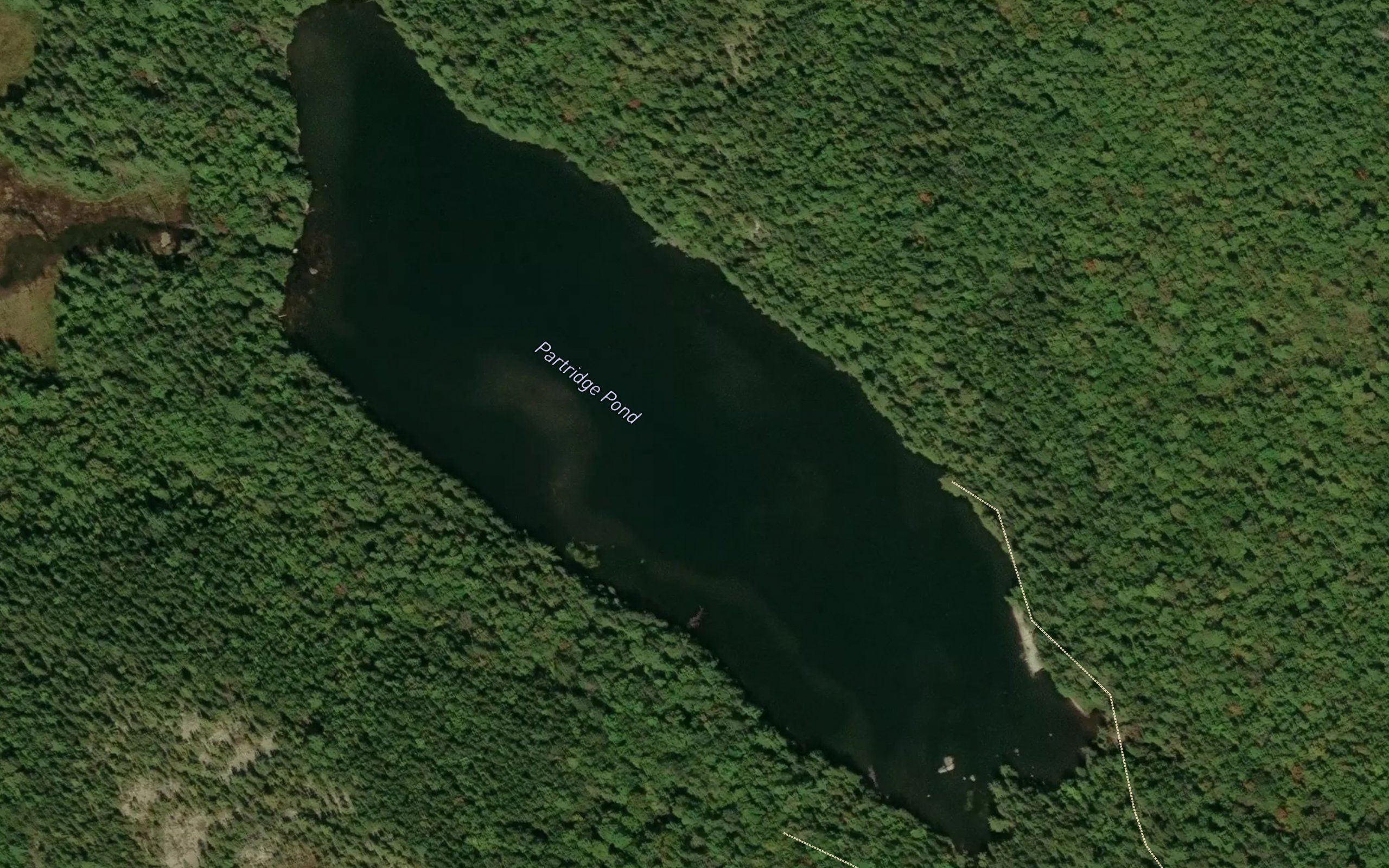 Partridge Pond