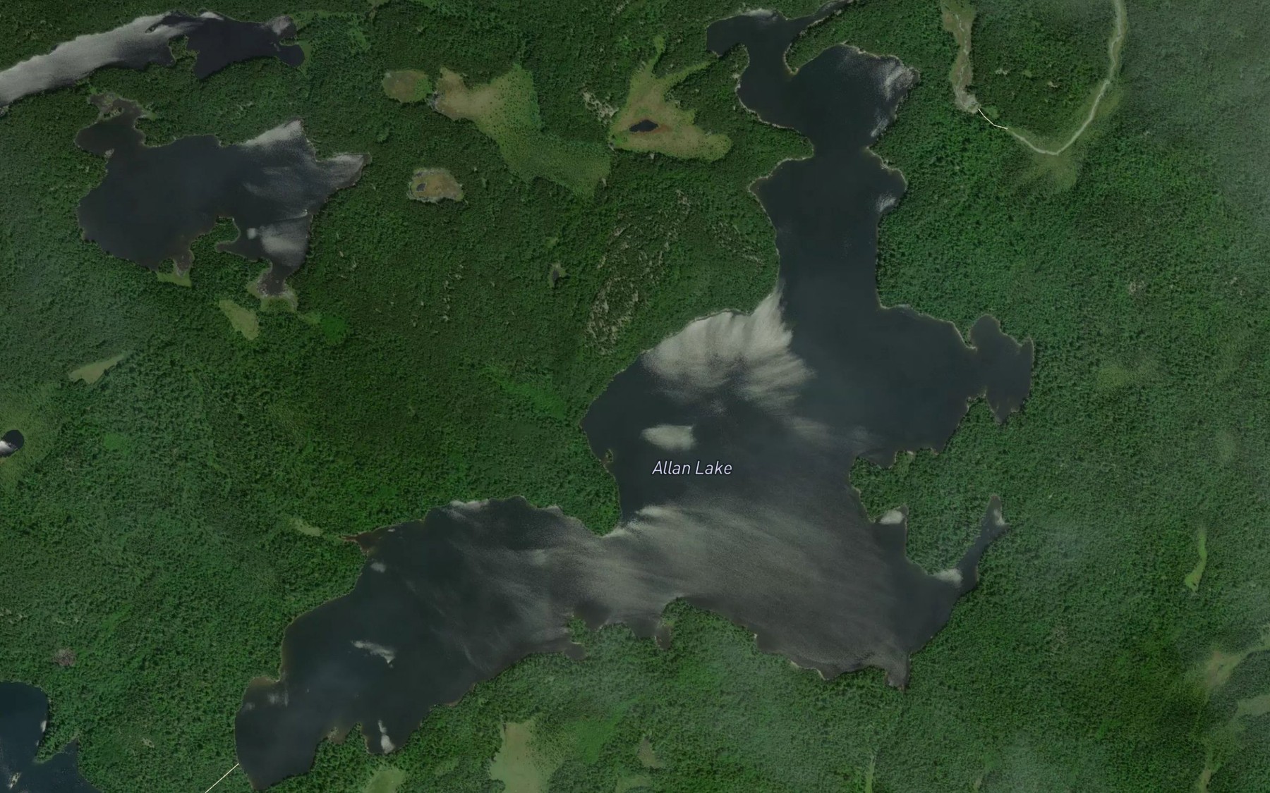 Satellite map of the Allan Lake
