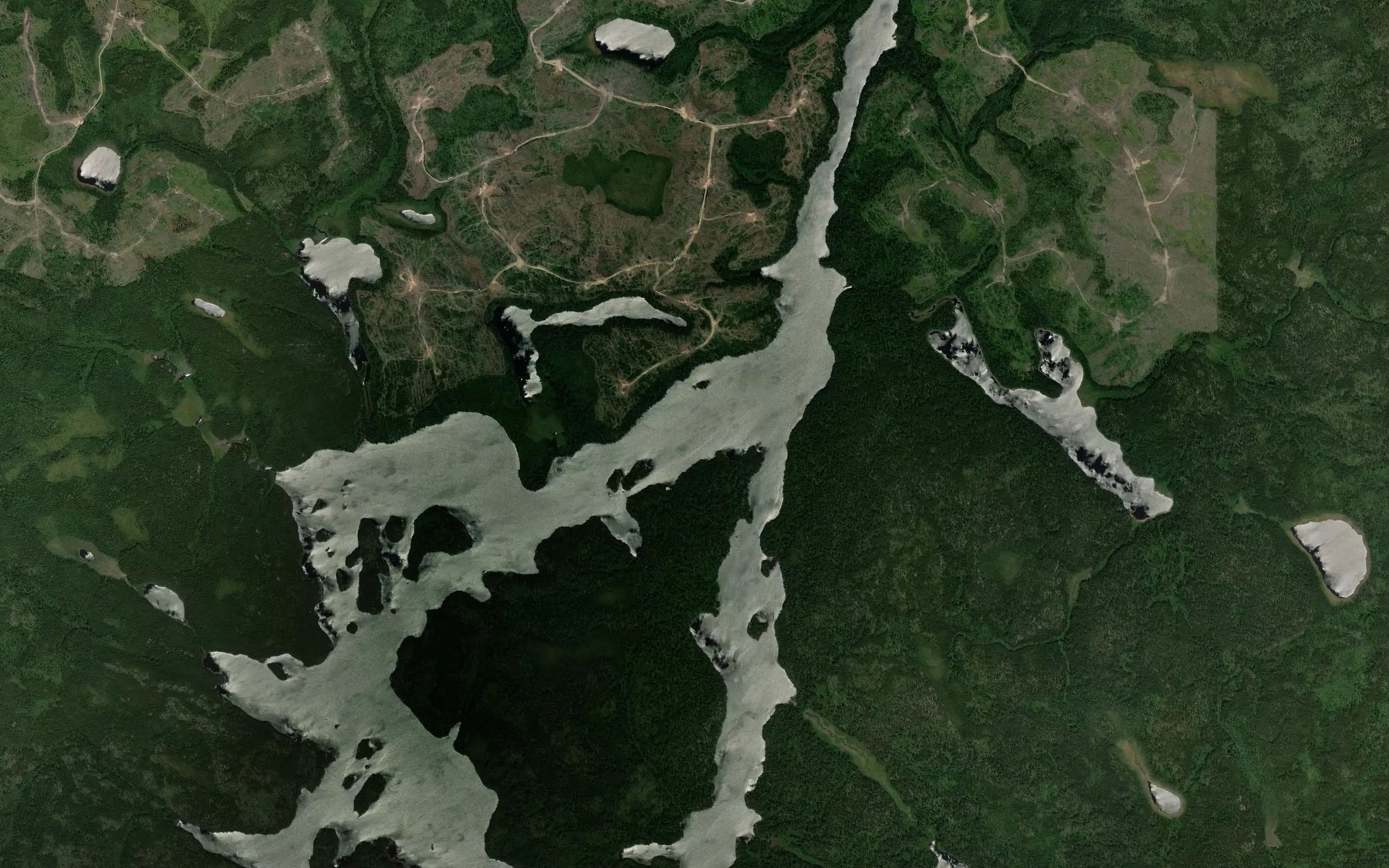 Satellite map of the Carling Lake
