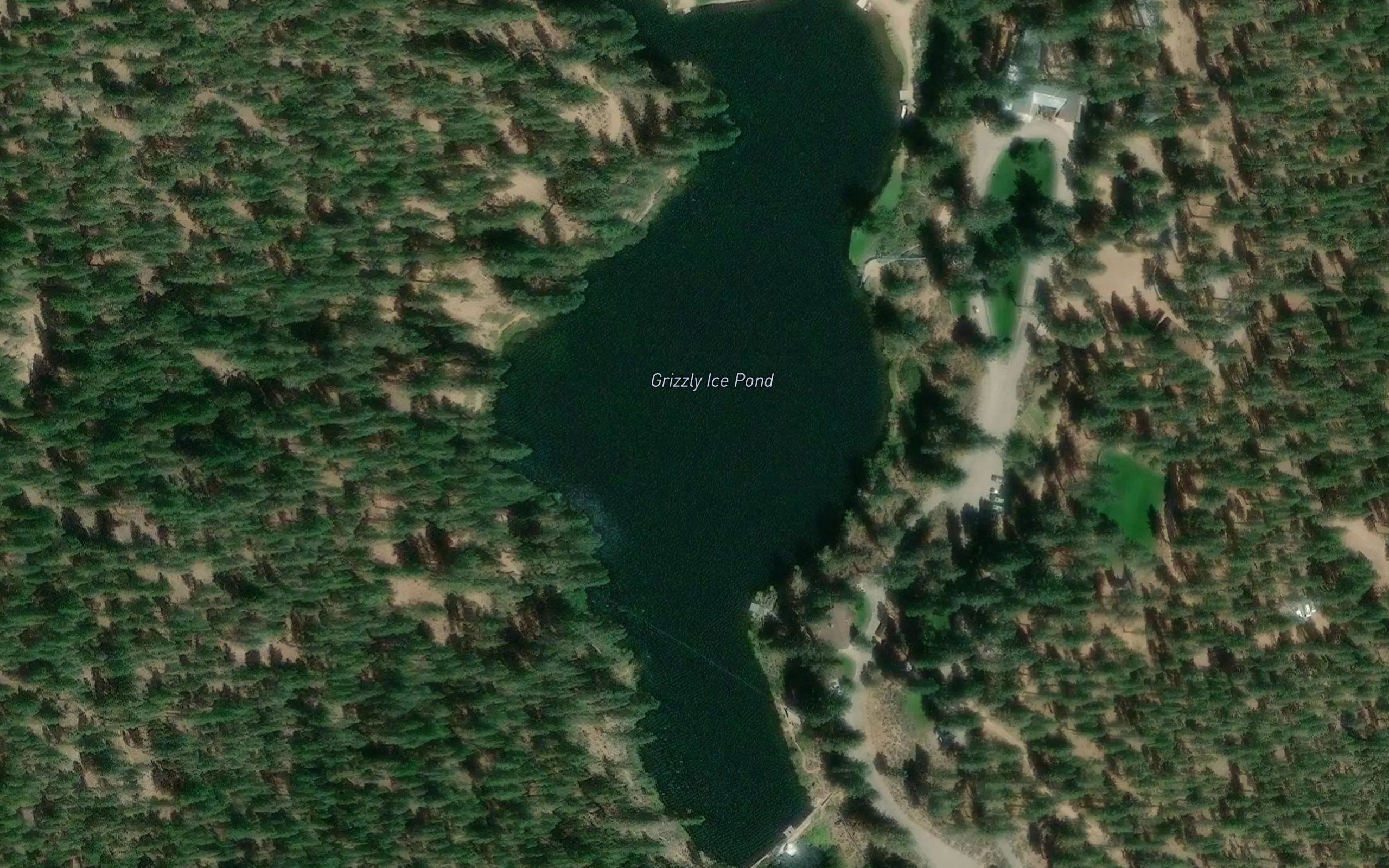 Grizzly Ice Pond