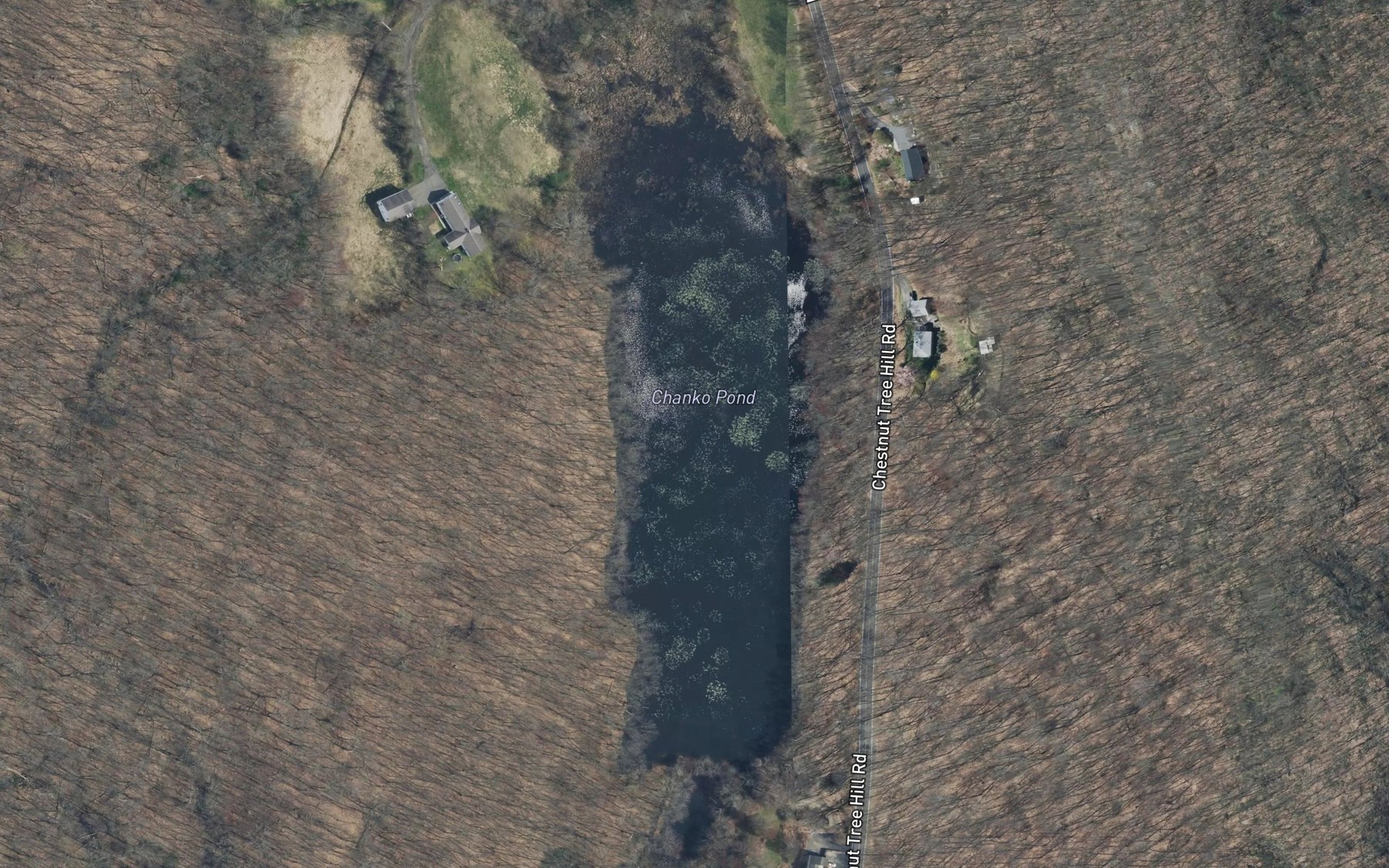 Satellite map of the Chanko Pond