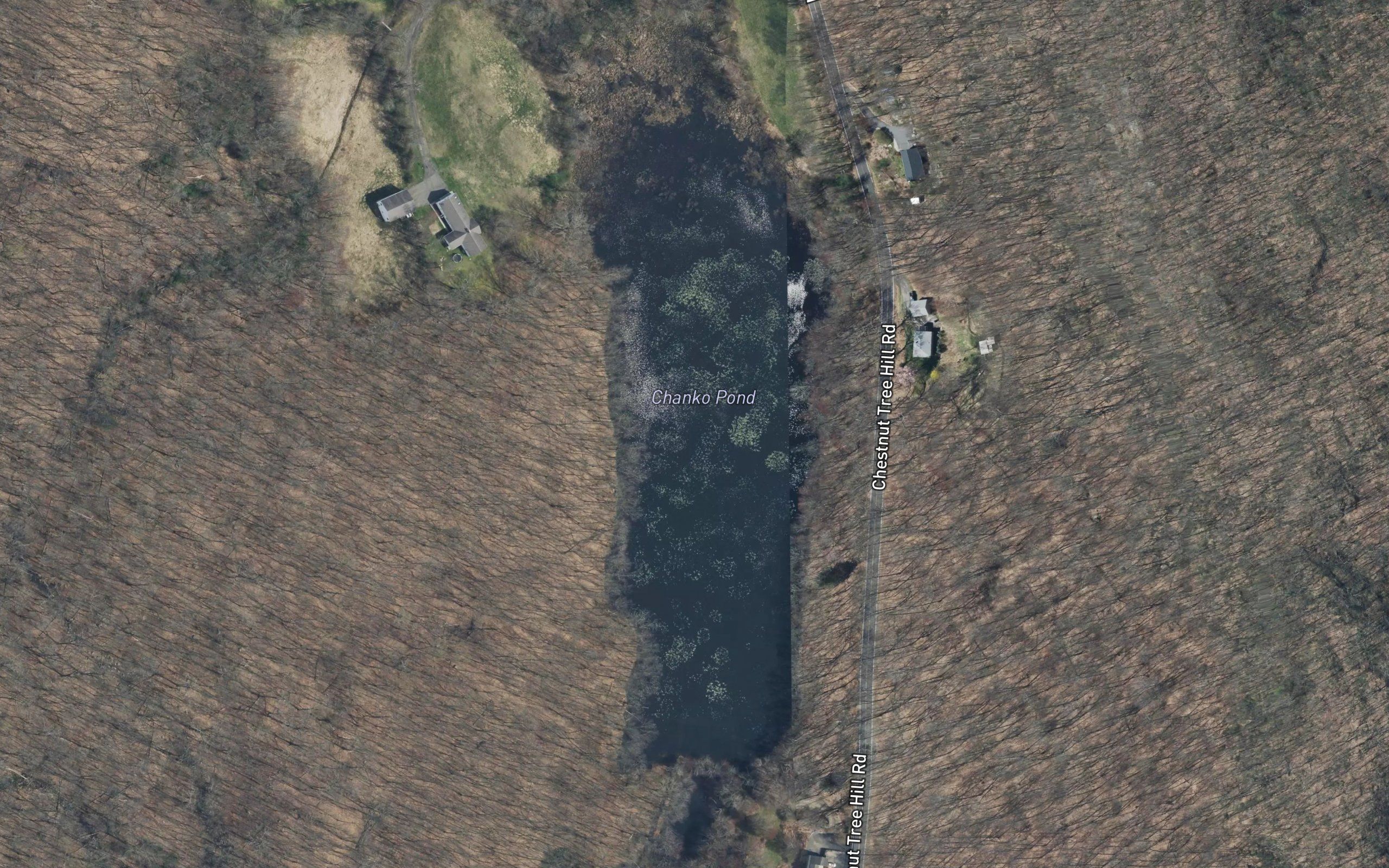 Chanko Pond
