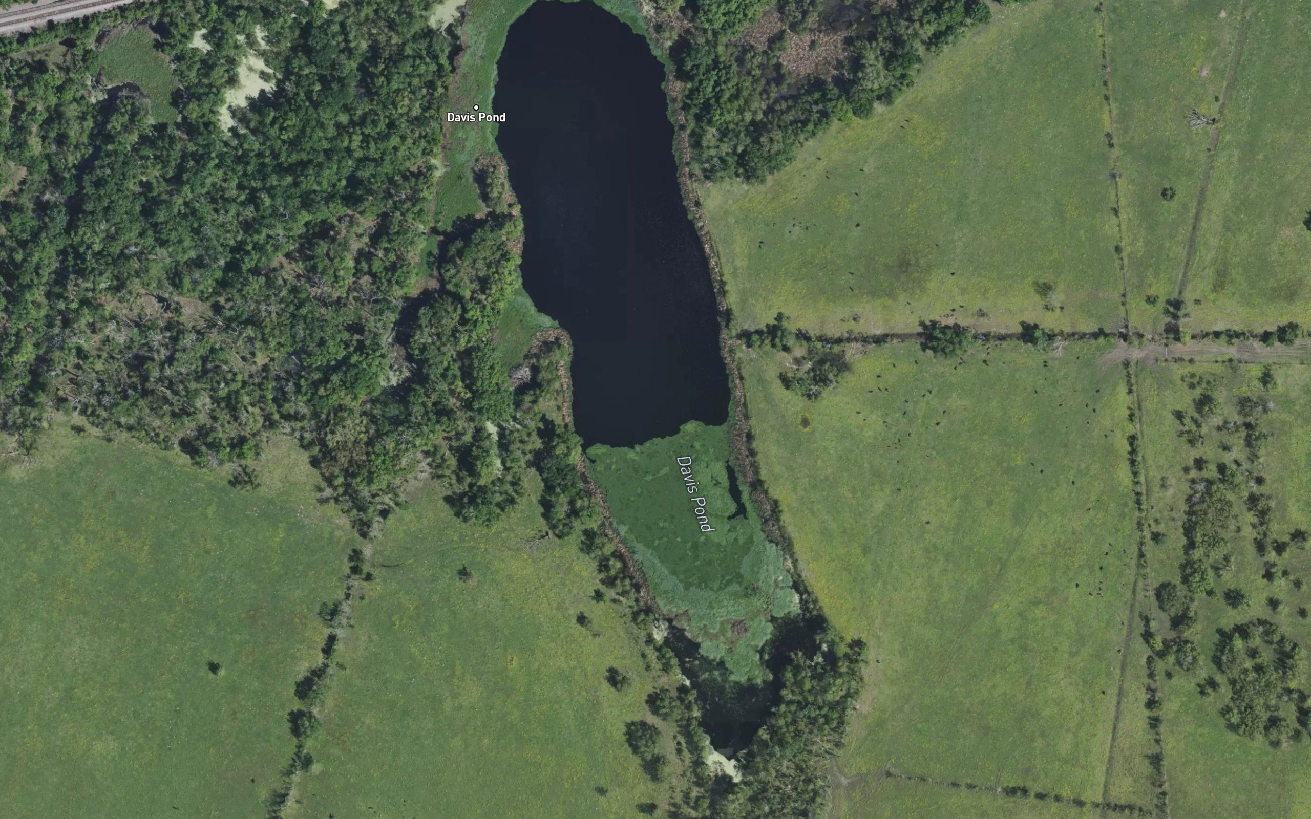 Davis Pond