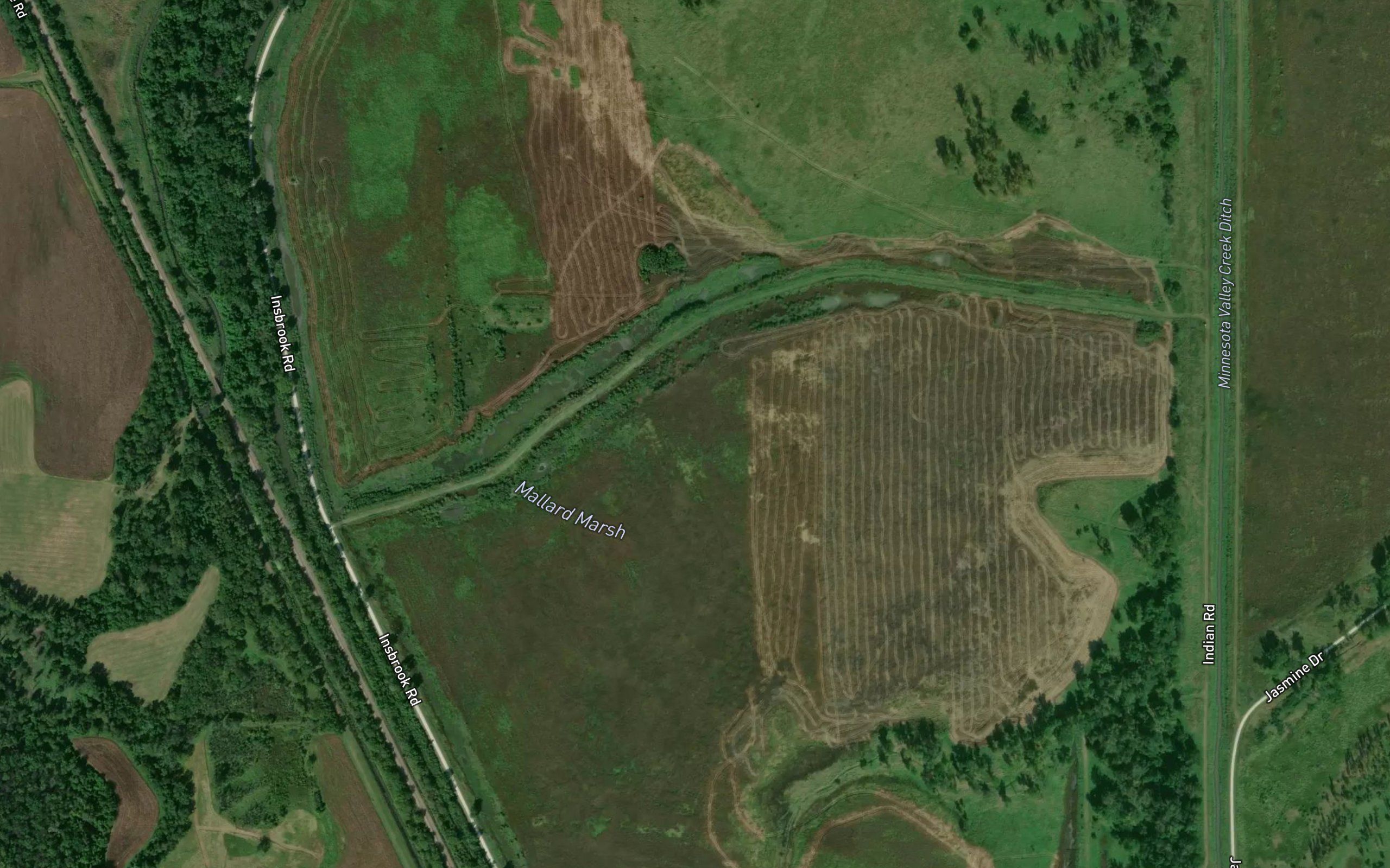 Mallard Marsh