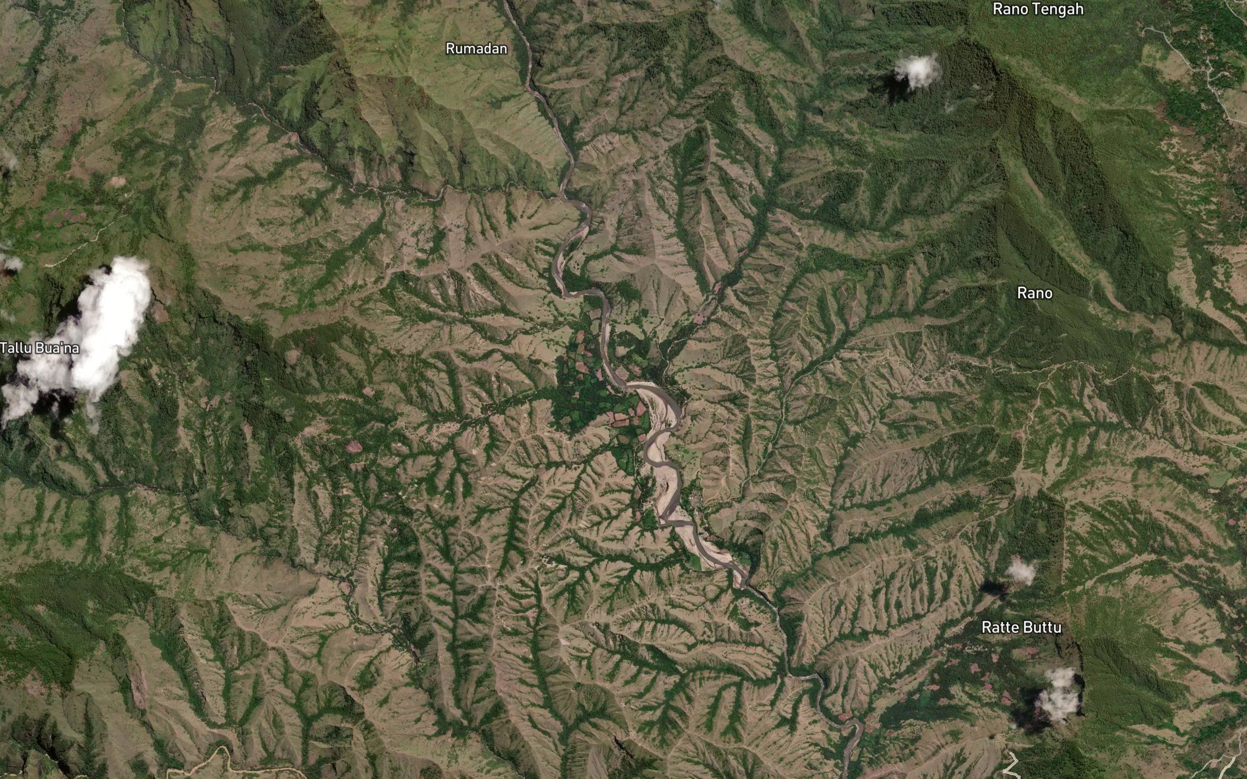 Salu Kaili